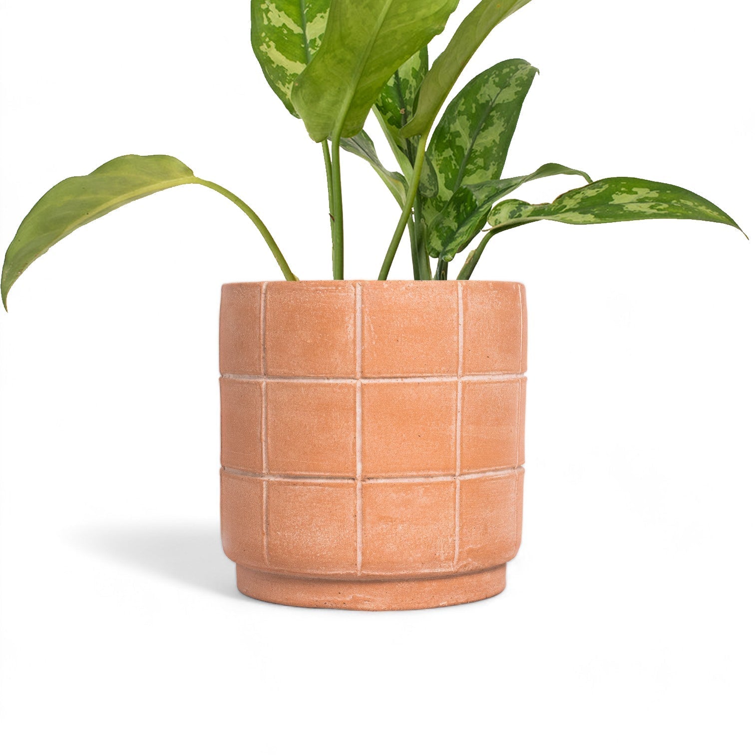 Grid Small Terracotta Planter by MESO MESO