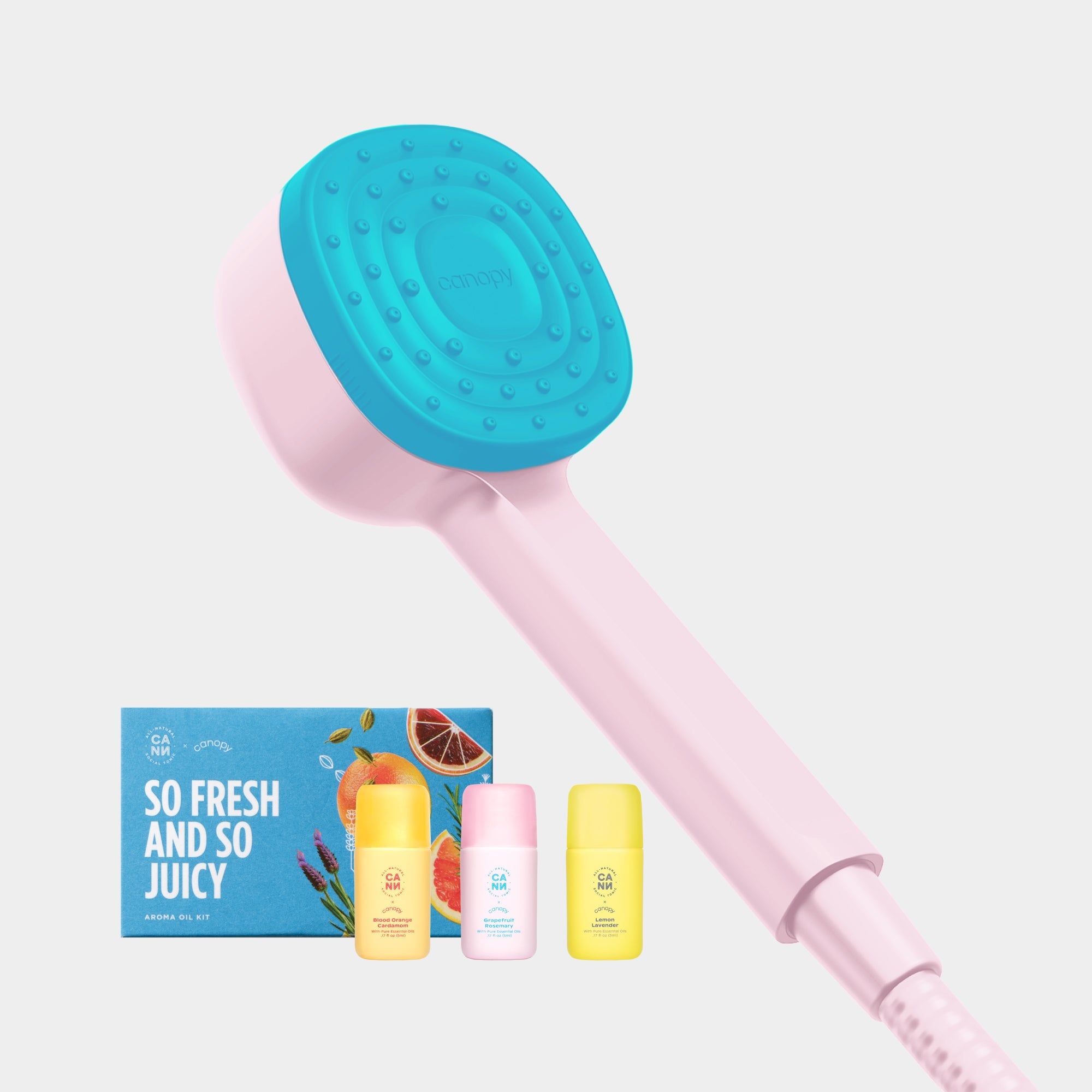 Handheld Filtered Showerhead Canopy