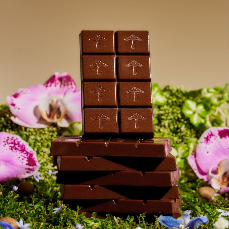 Happy Ending Functional Mushroom Chocolates alice mushrooms
