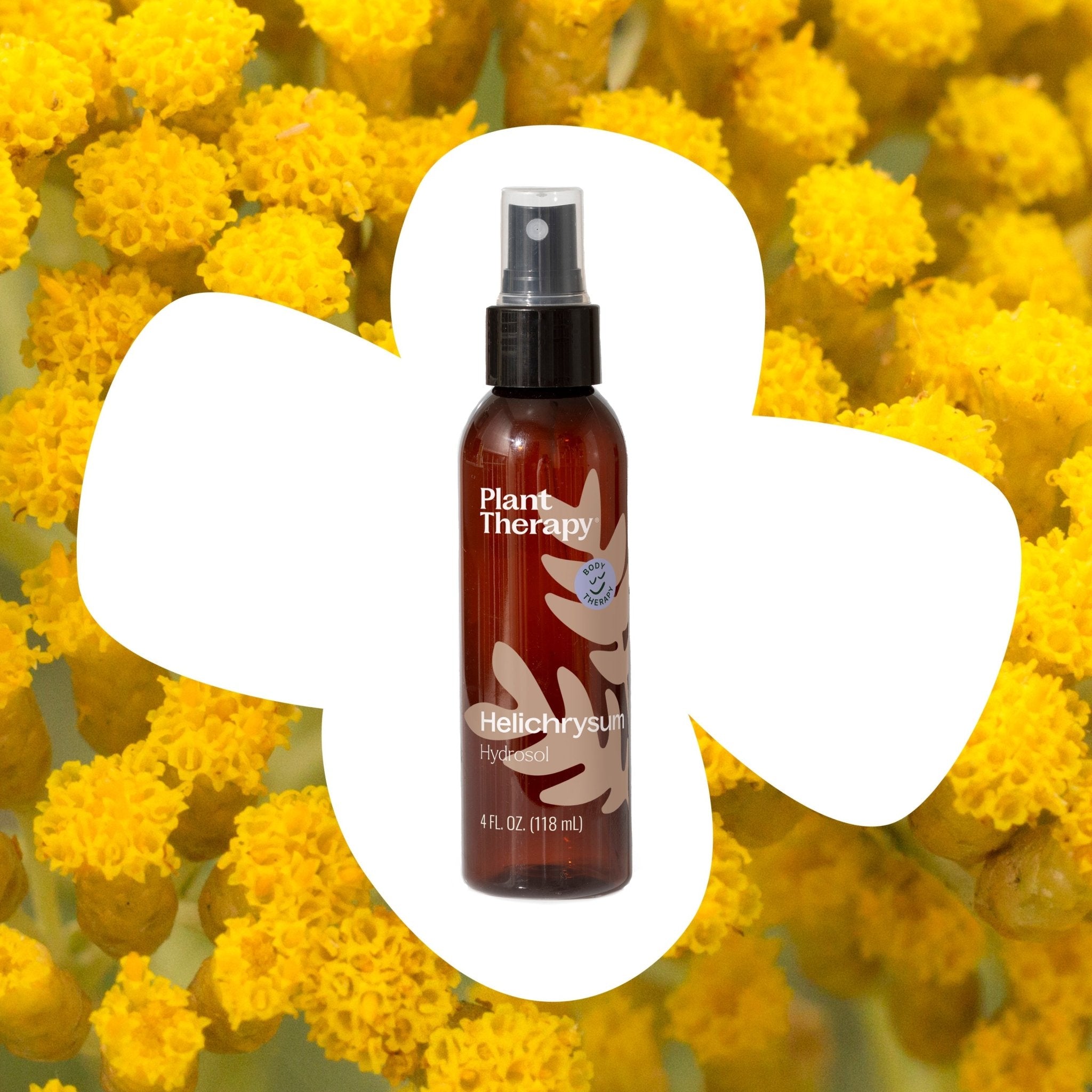 Helichrysum Hydrosol Plant Therapy