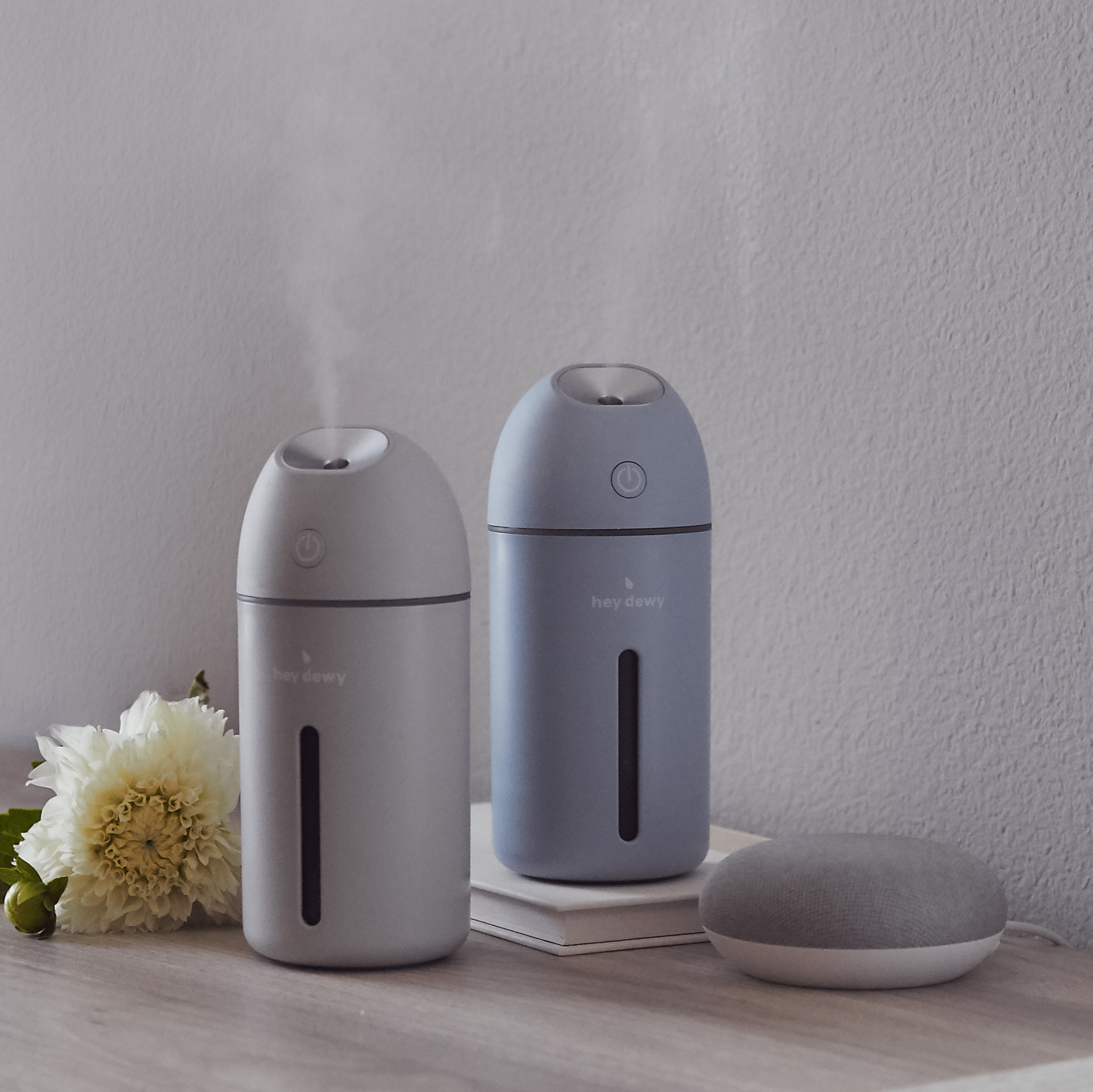 Hey Dewy Wireless Facial Humidifier hey dewy