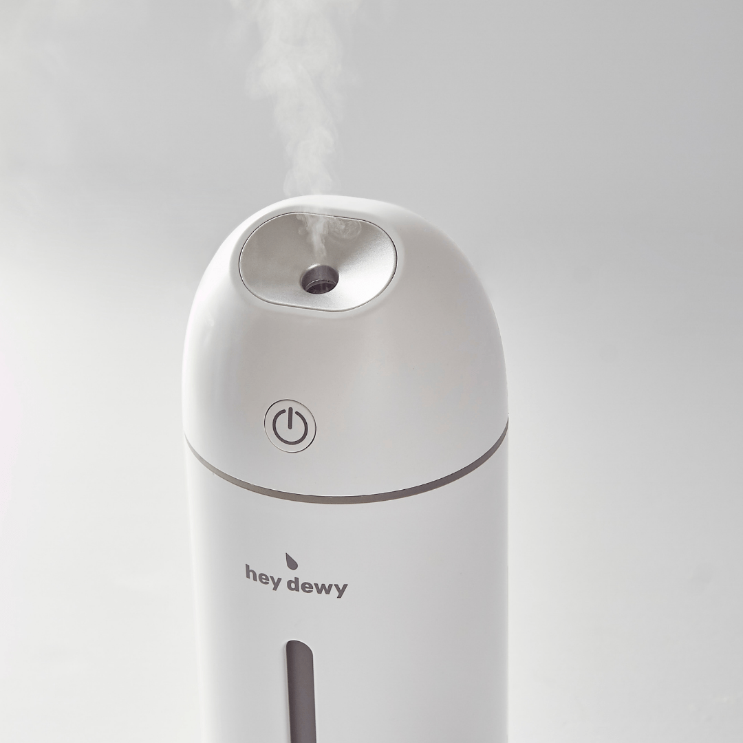 Hey Dewy Wireless Facial Humidifier hey dewy