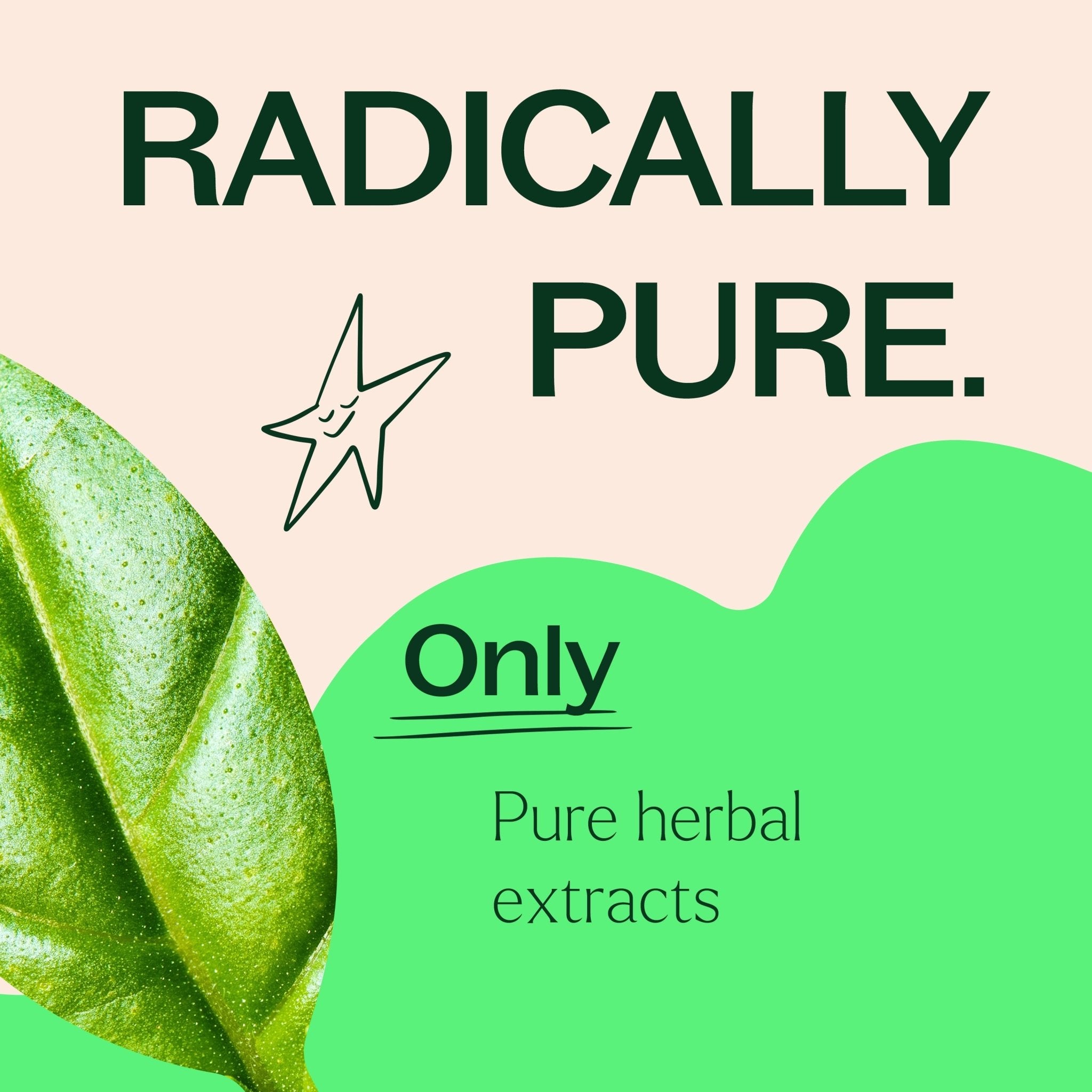 Holy Basil Herbal Supplement - 120 Capsules Plant Therapy