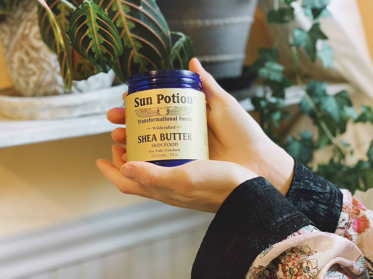 Hands holding a Sun Potion Shea Butter jar beside a plant and a sunlit windowsill