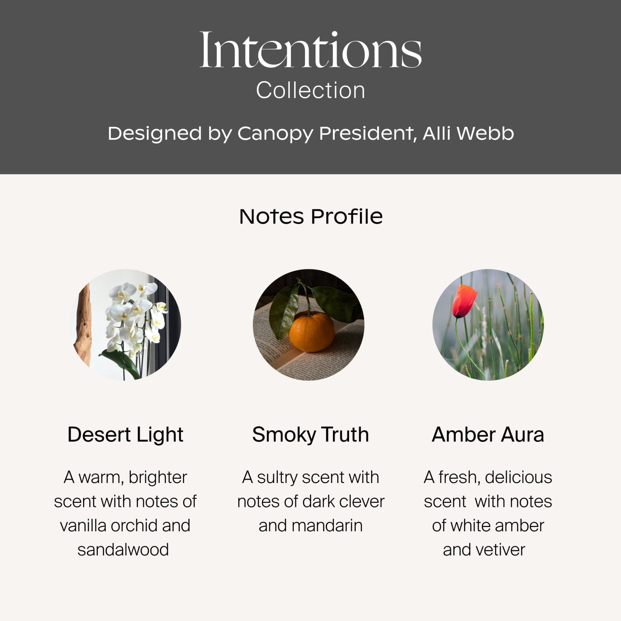 Intentions Aroma Kit Canopy