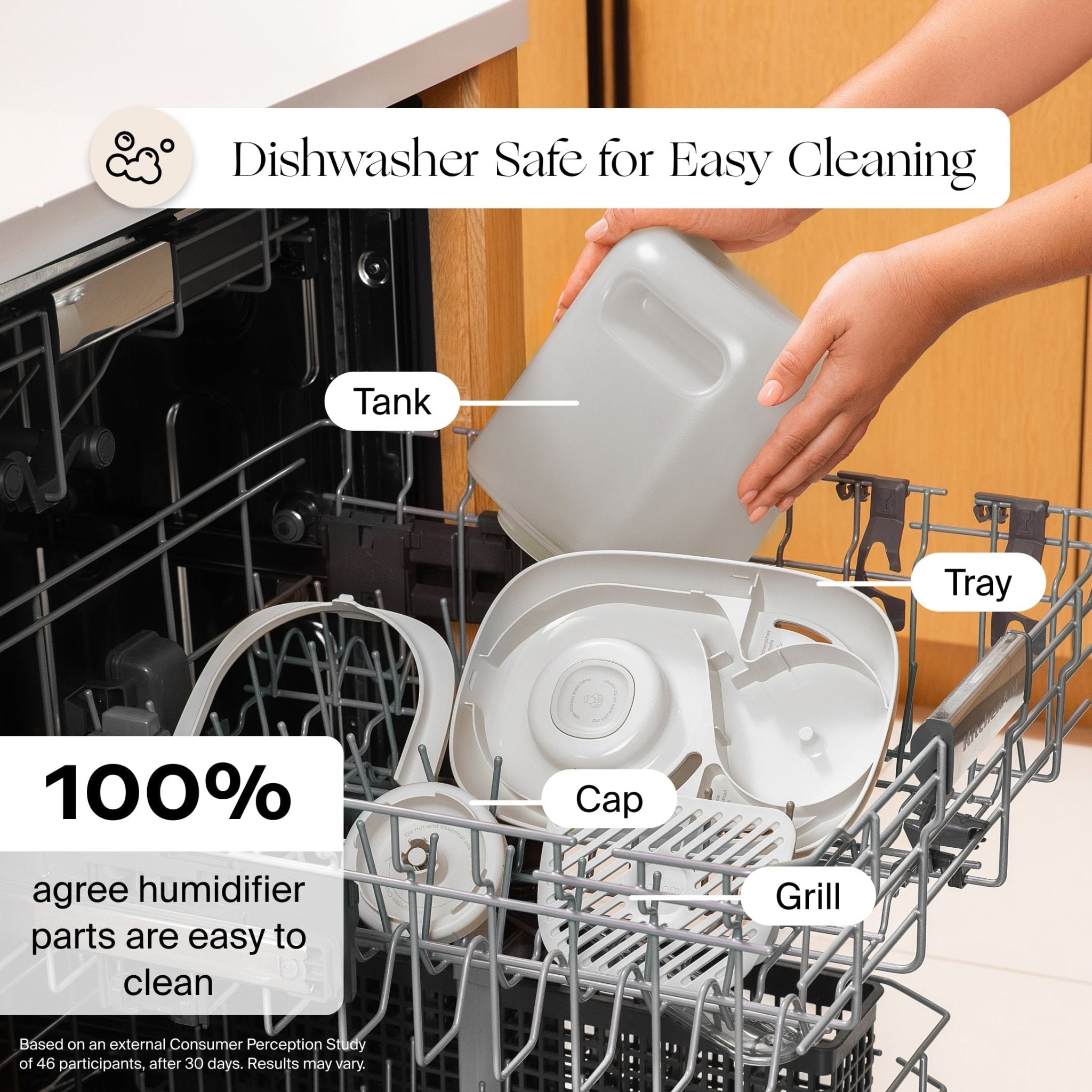 Large Room Humidifier Canopy