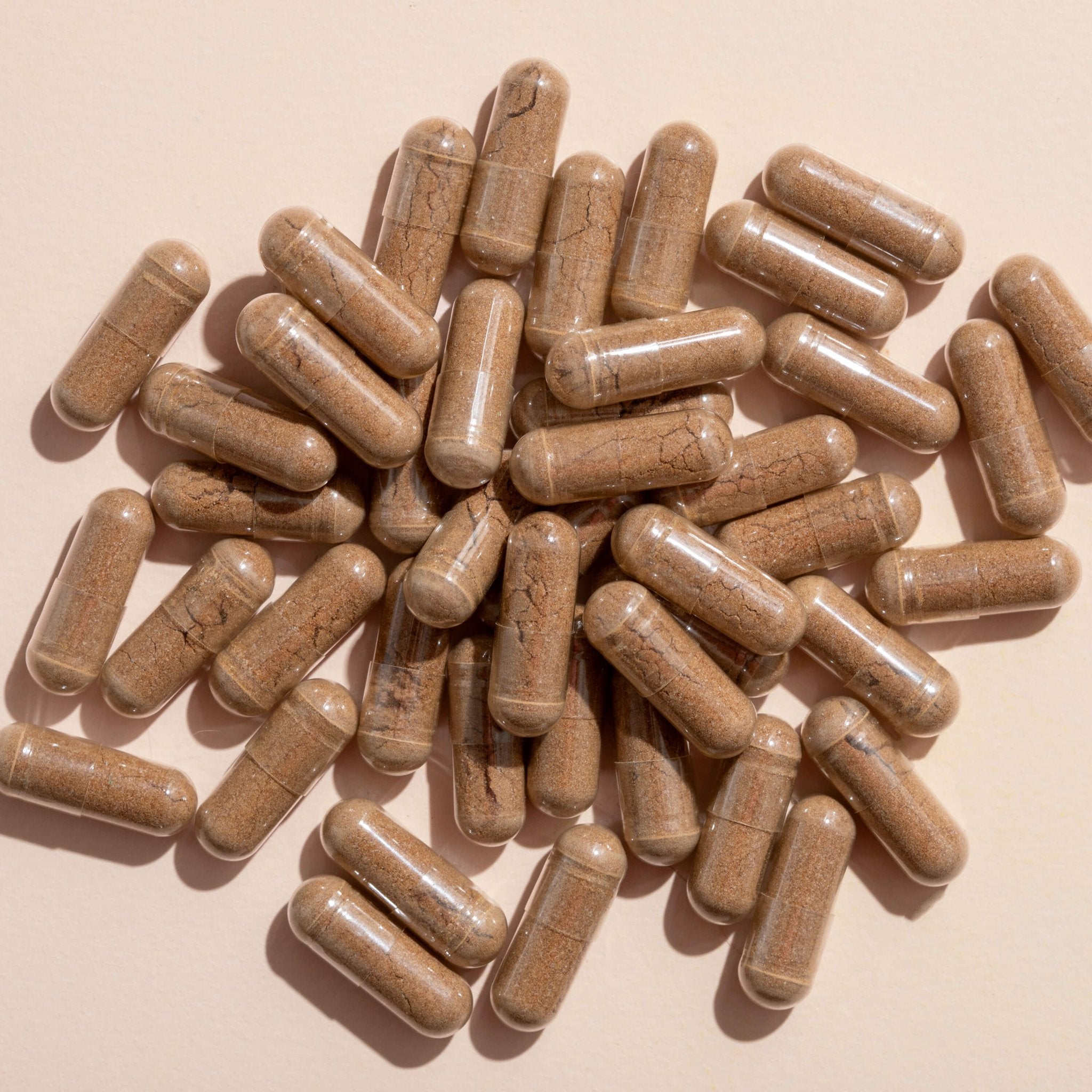 Lion's Mane Herbal Supplement - 120 Capsules Plant Therapy