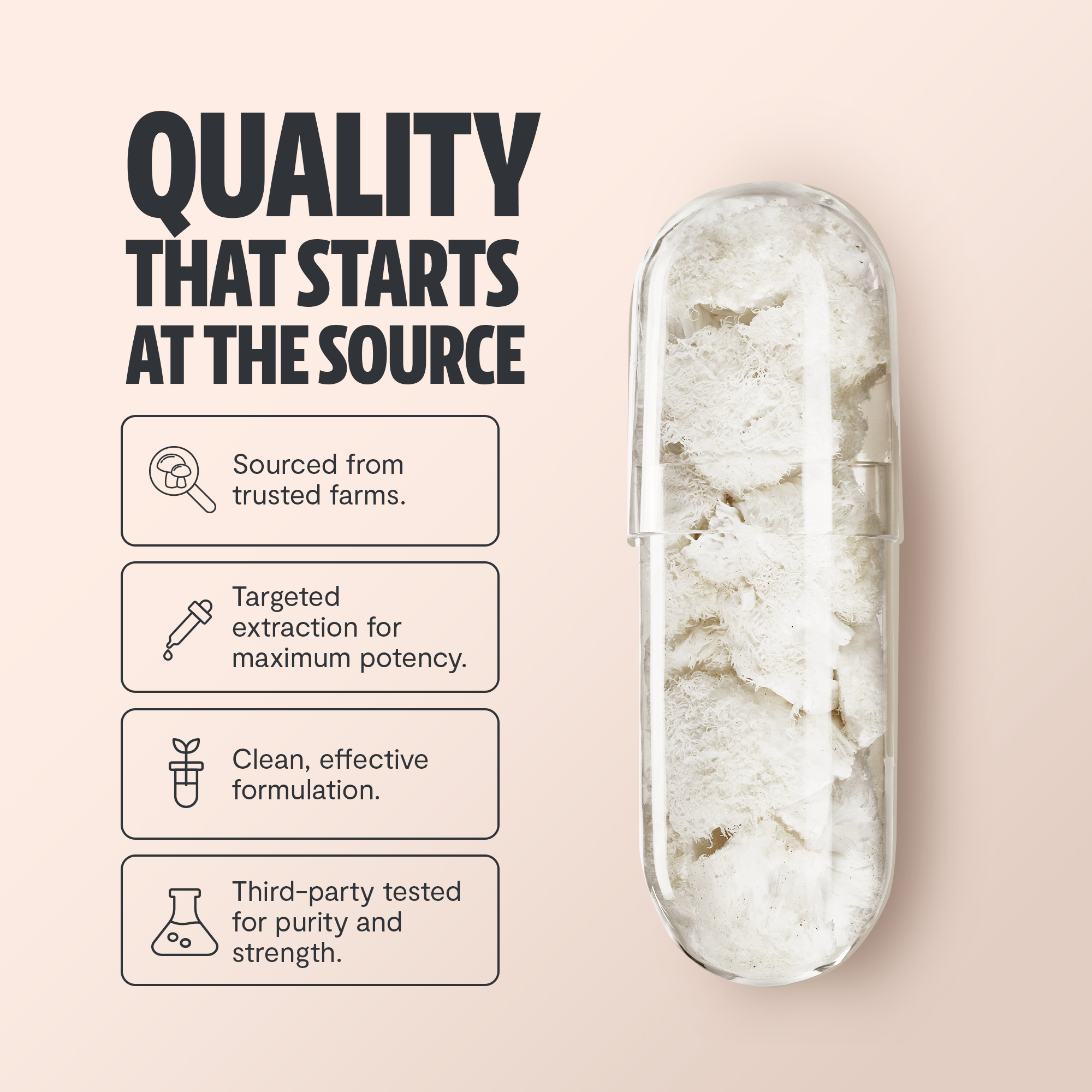 Lion's Mane Mushroom Extract Capsules FreshCap Mushrooms