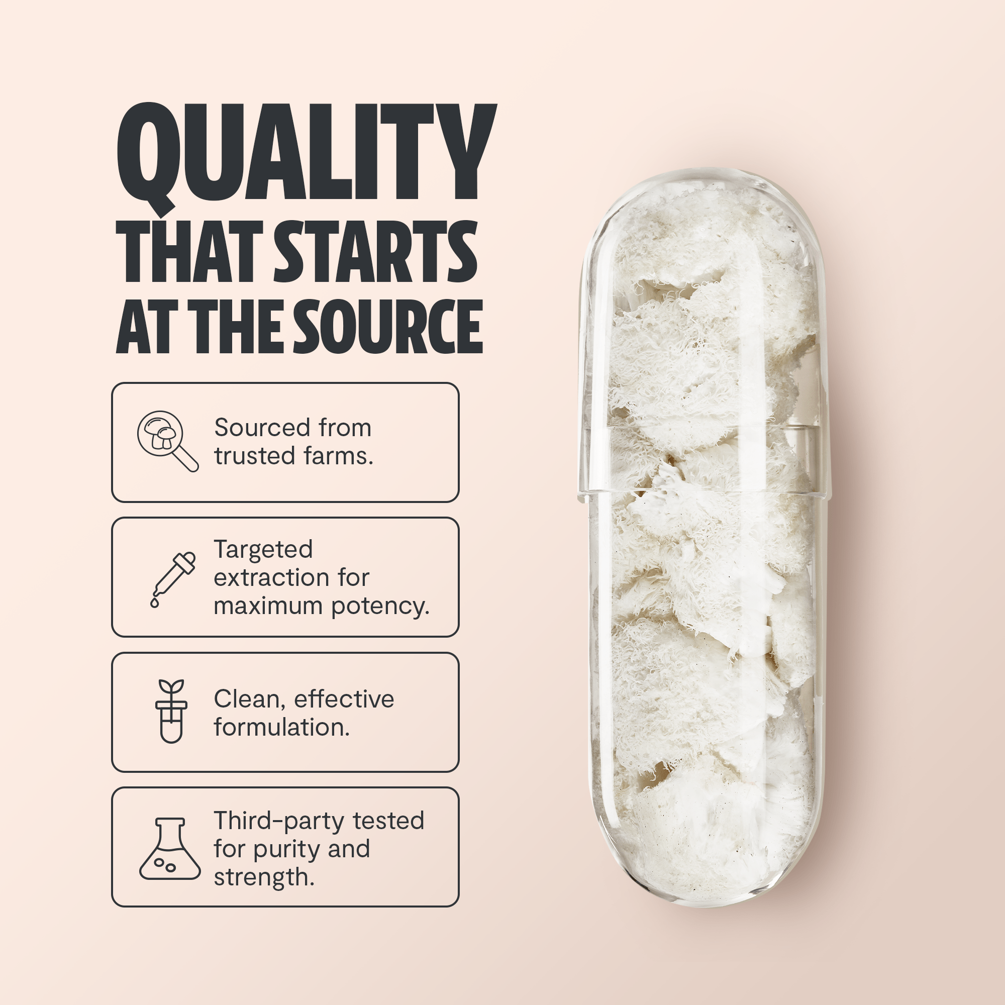 Lion's Mane Mushroom Extract Capsules FreshCap Mushrooms