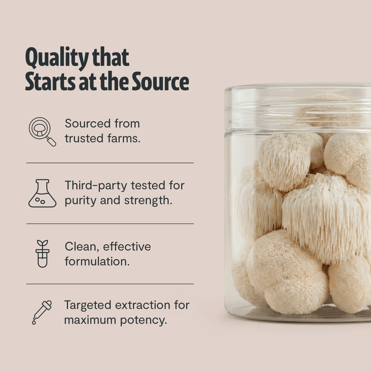 Lion's Mane Mushroom Extract Powder FreshCap Mushrooms
