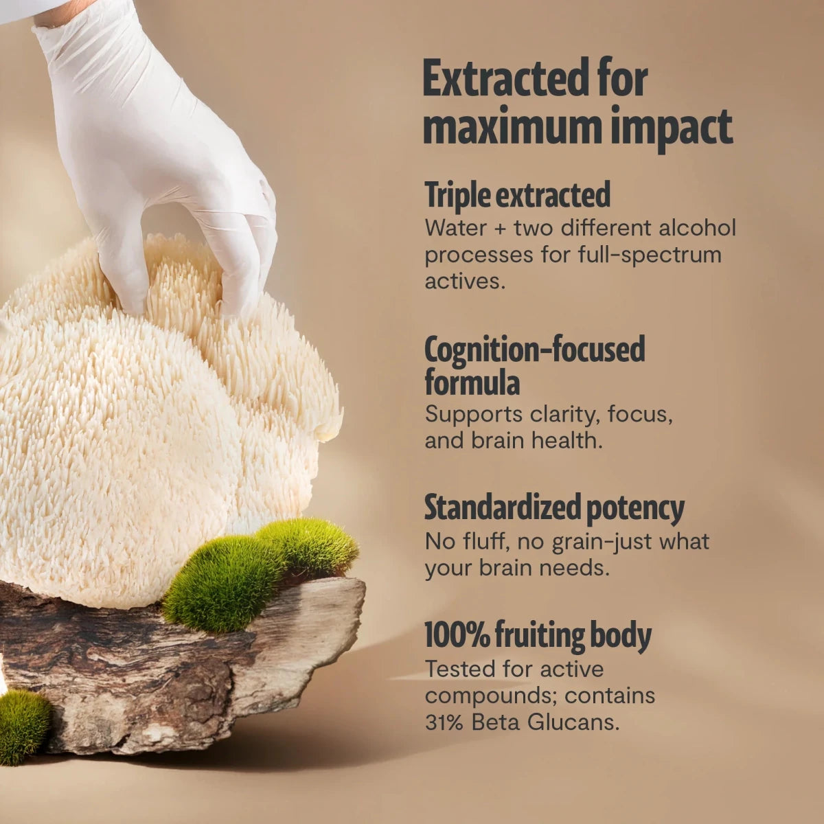 FreshCap Mushrooms Lion's Mane Powder stick packs extracted for maximum impact: triple extracted, cognition-focused formula