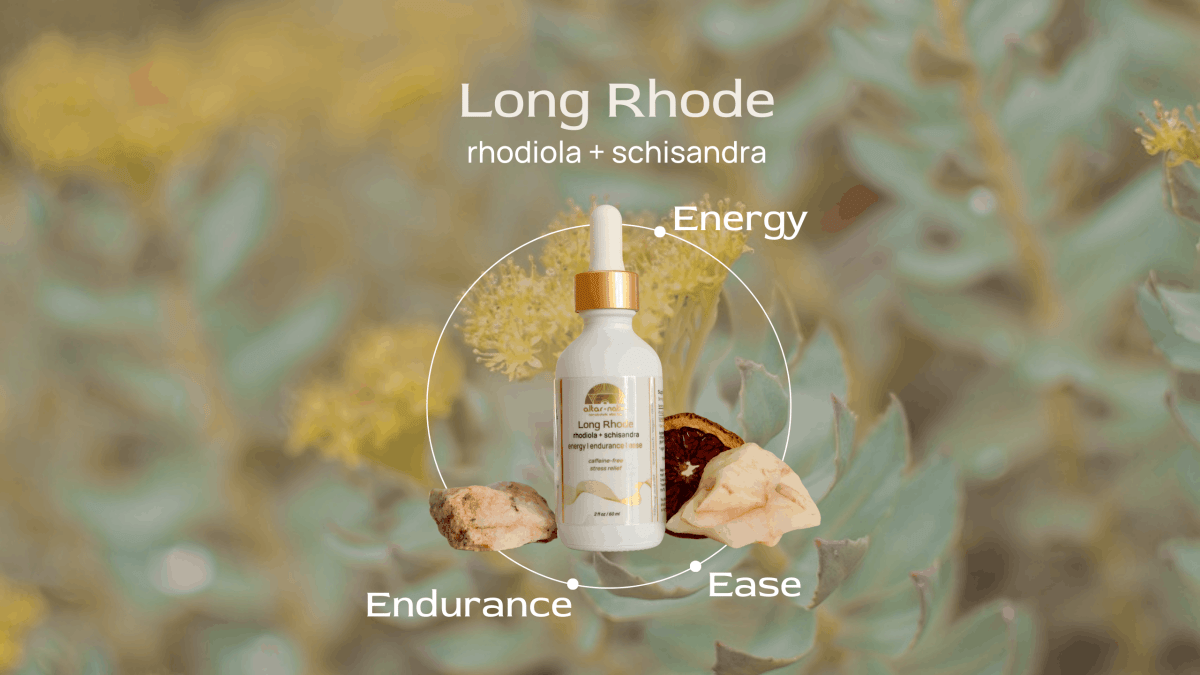 Long Rhode ⟡ Rhodiola + Schisandra Drops Altar Native