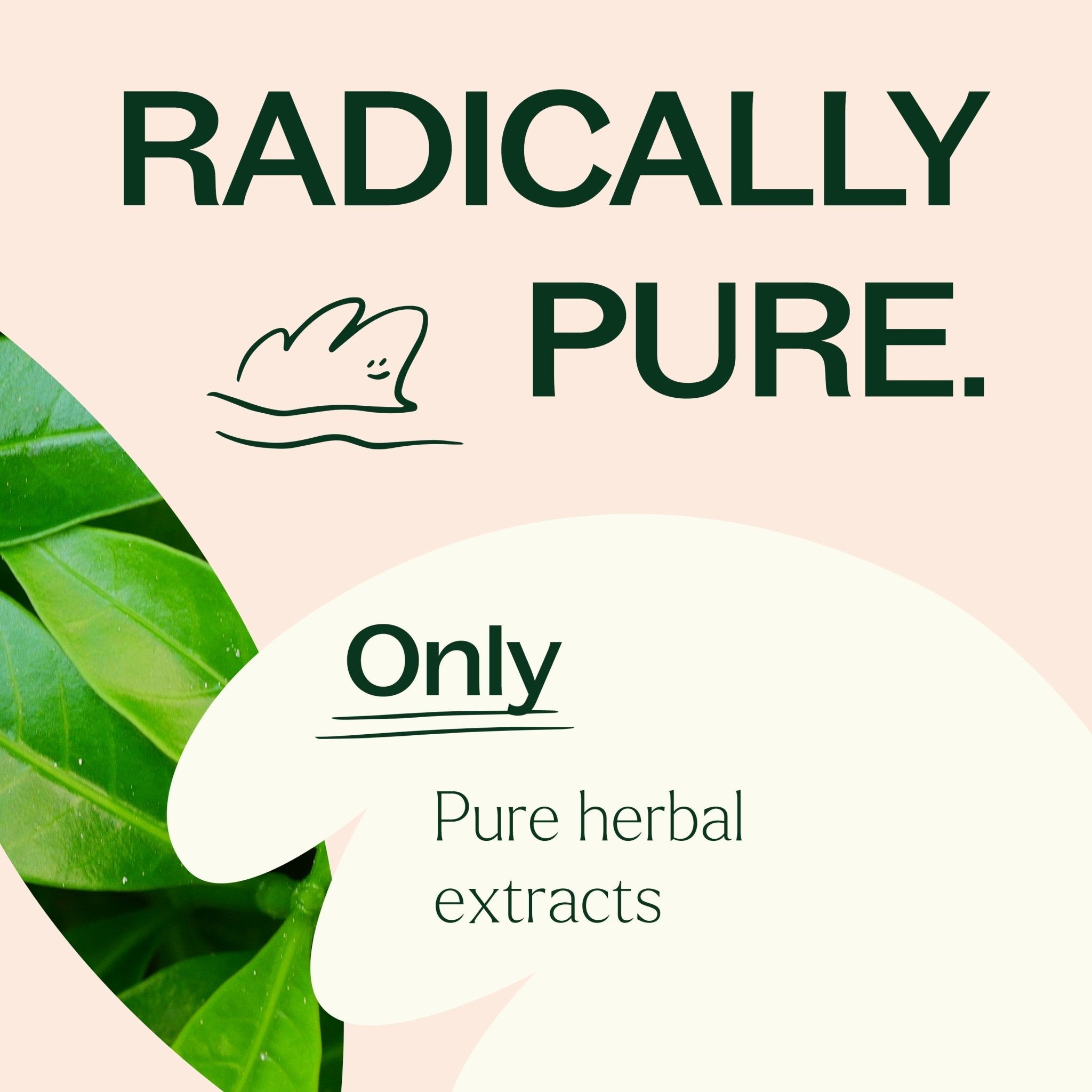 Metabolism Boost Herbal Supplement - 120 Capsules Plant Therapy