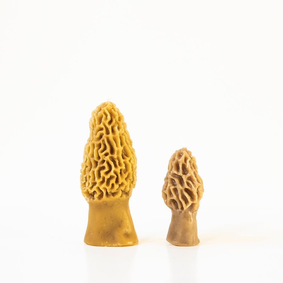 Morel Mushroom Beeswax Candle Happy Organics