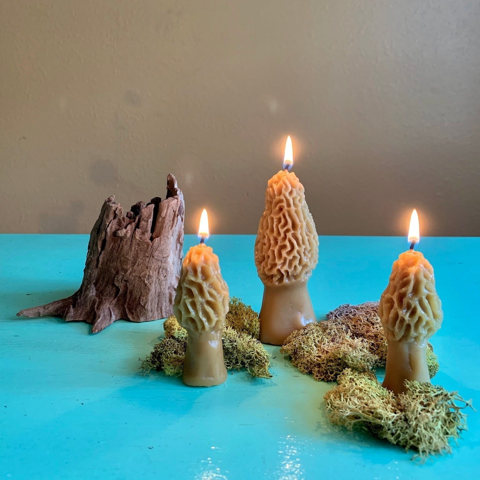 Morel Mushroom Beeswax Candle Happy Organics
