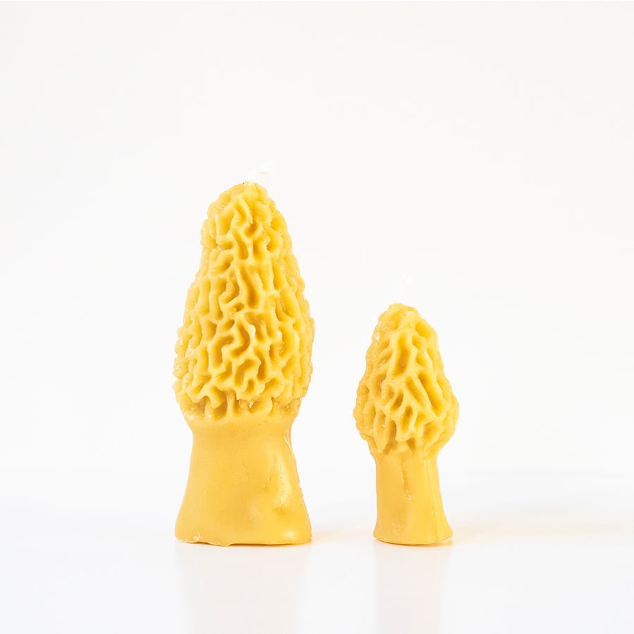 Morel Mushroom Beeswax Candle Happy Organics