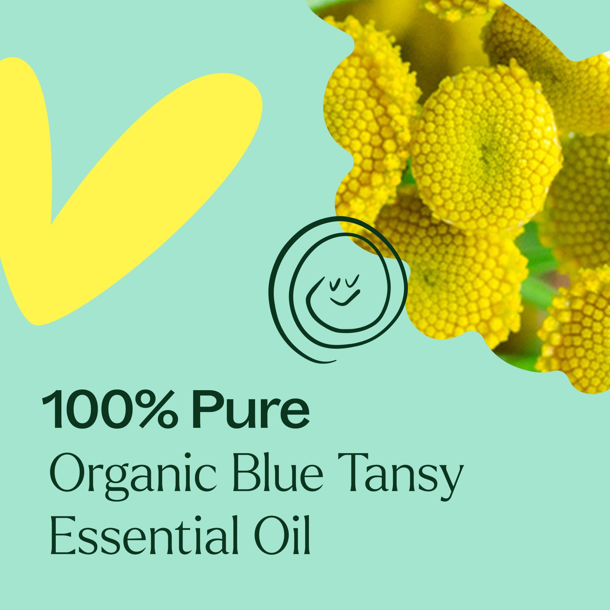 Organic Blue Tansy Essential Oil Plant Therapy