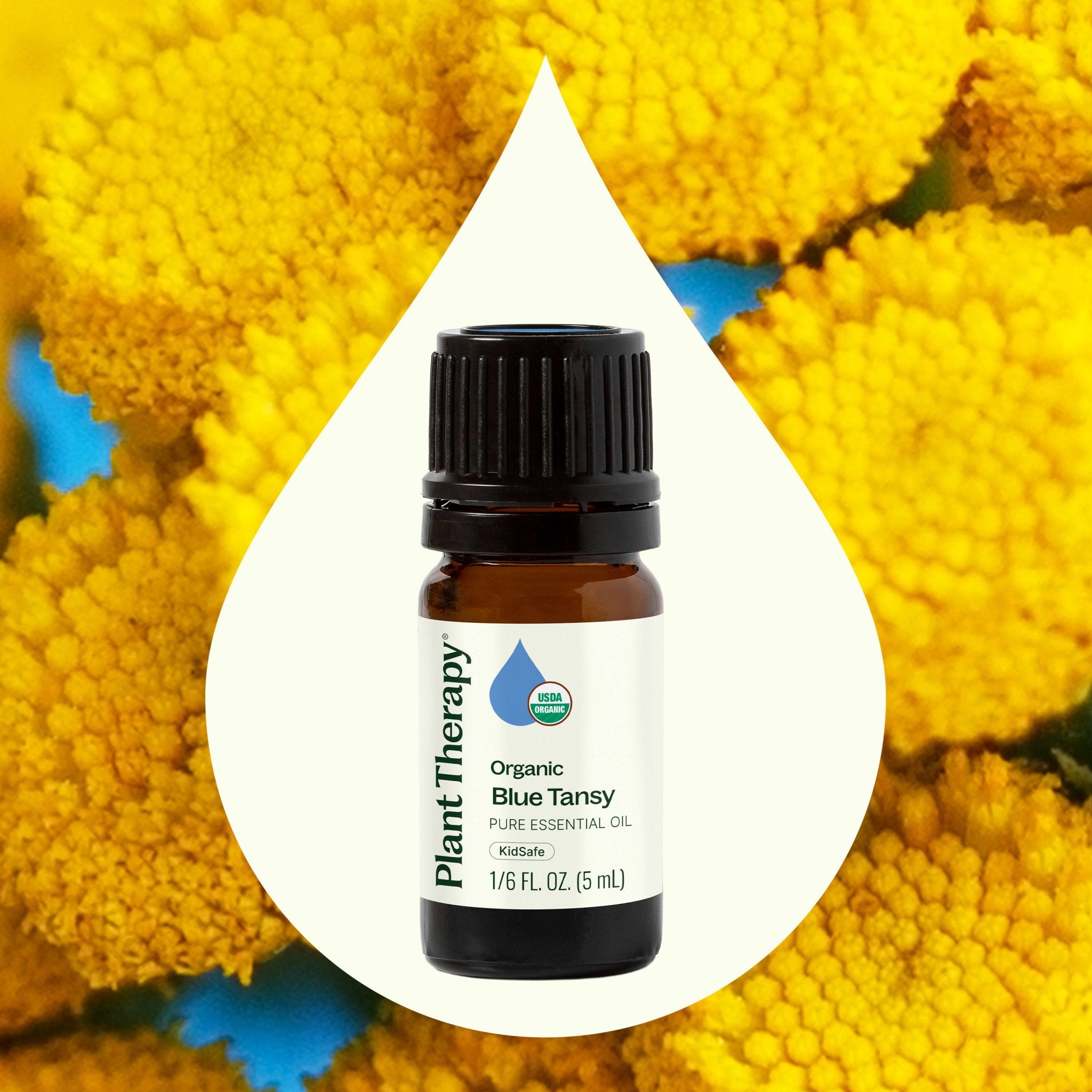 Organic Blue Tansy Essential Oil Plant Therapy