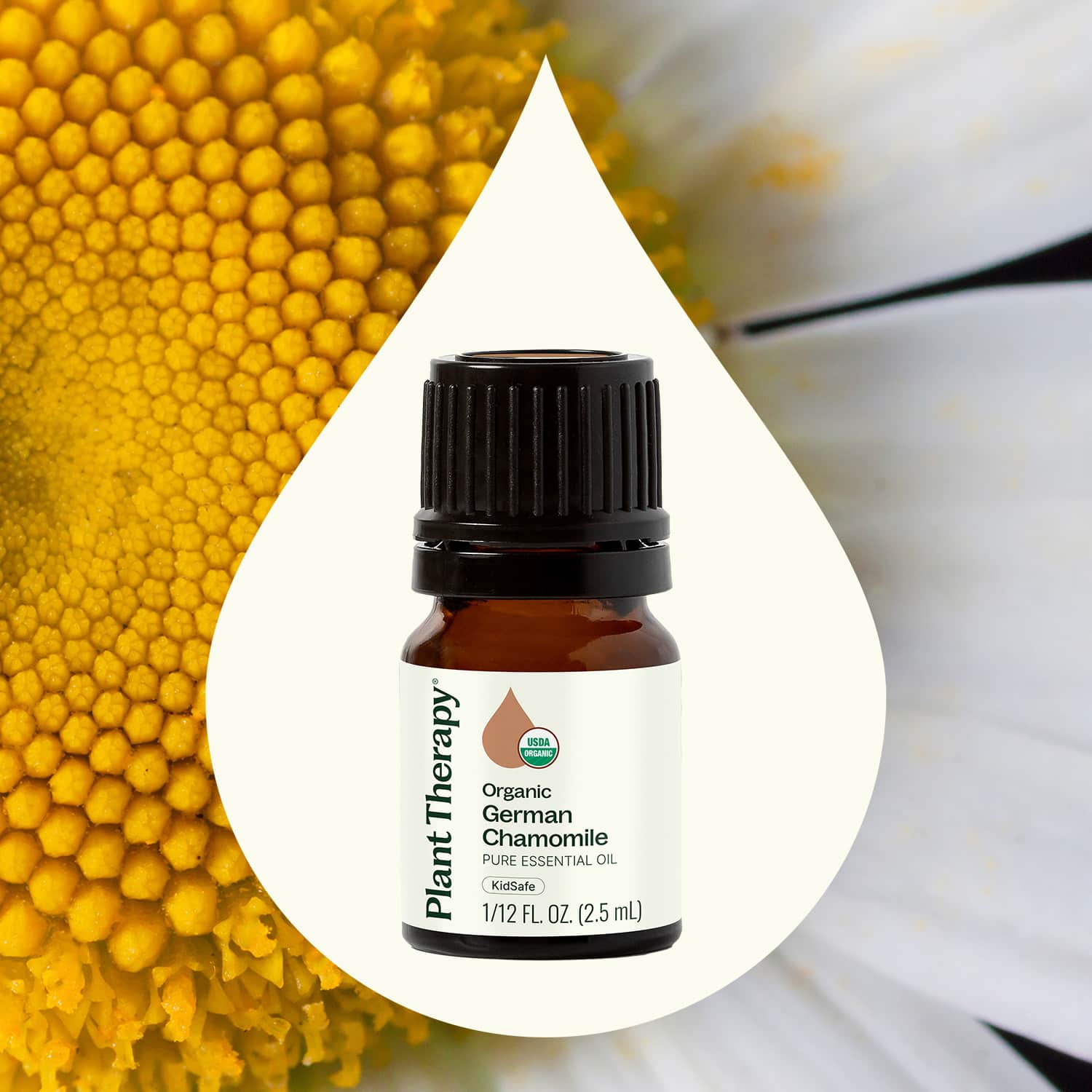 Organic German Chamomile Essential Oil Plant Therapy
