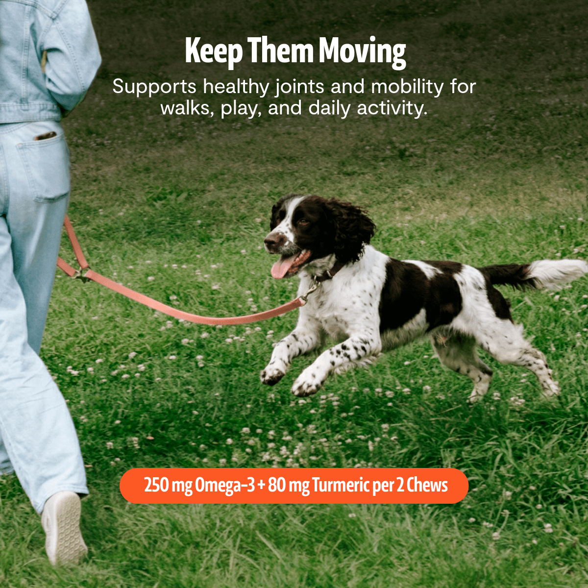 Organic Mushroom Complex for Dogs FreshCap Mushrooms