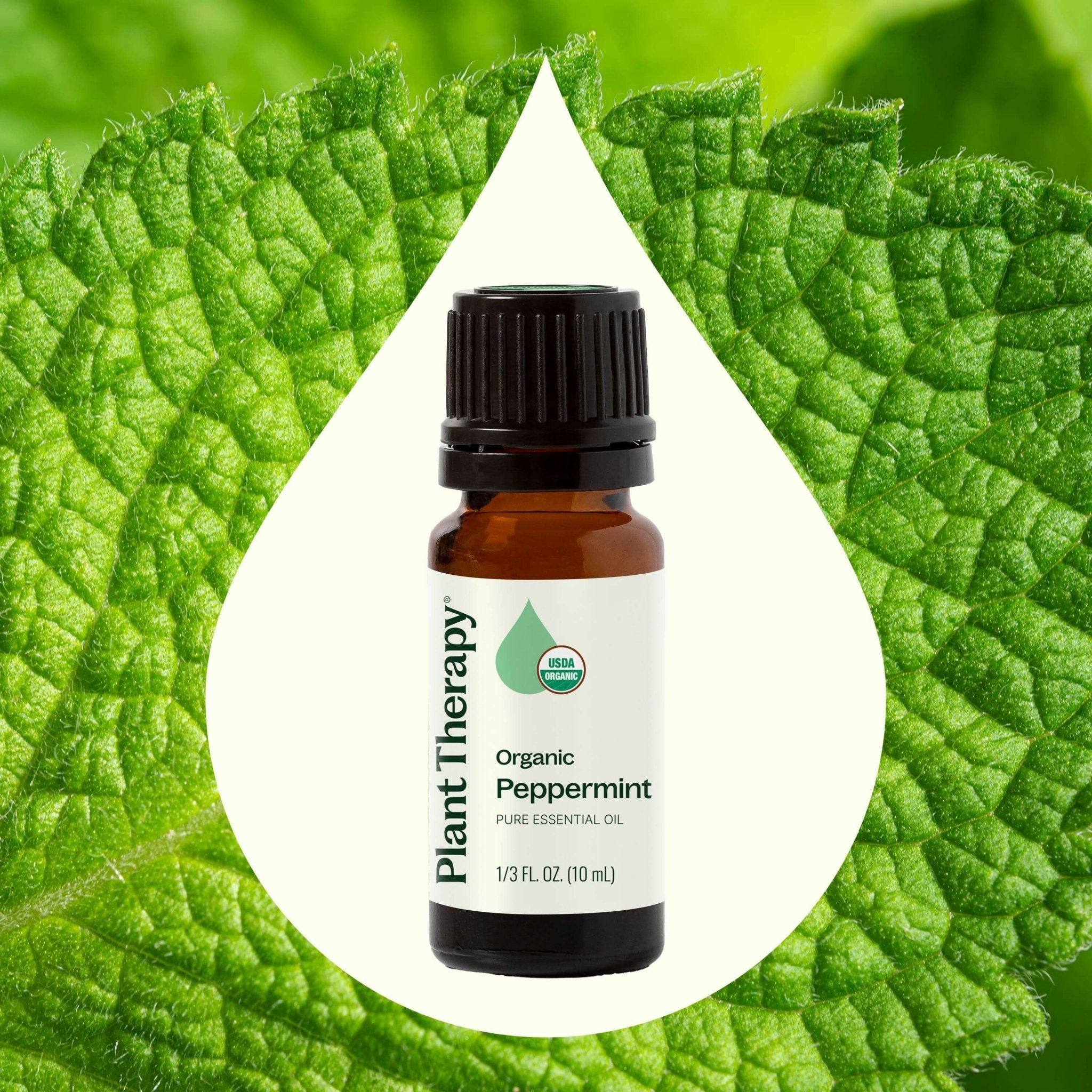 Organic Peppermint Essential Oil Plant Therapy