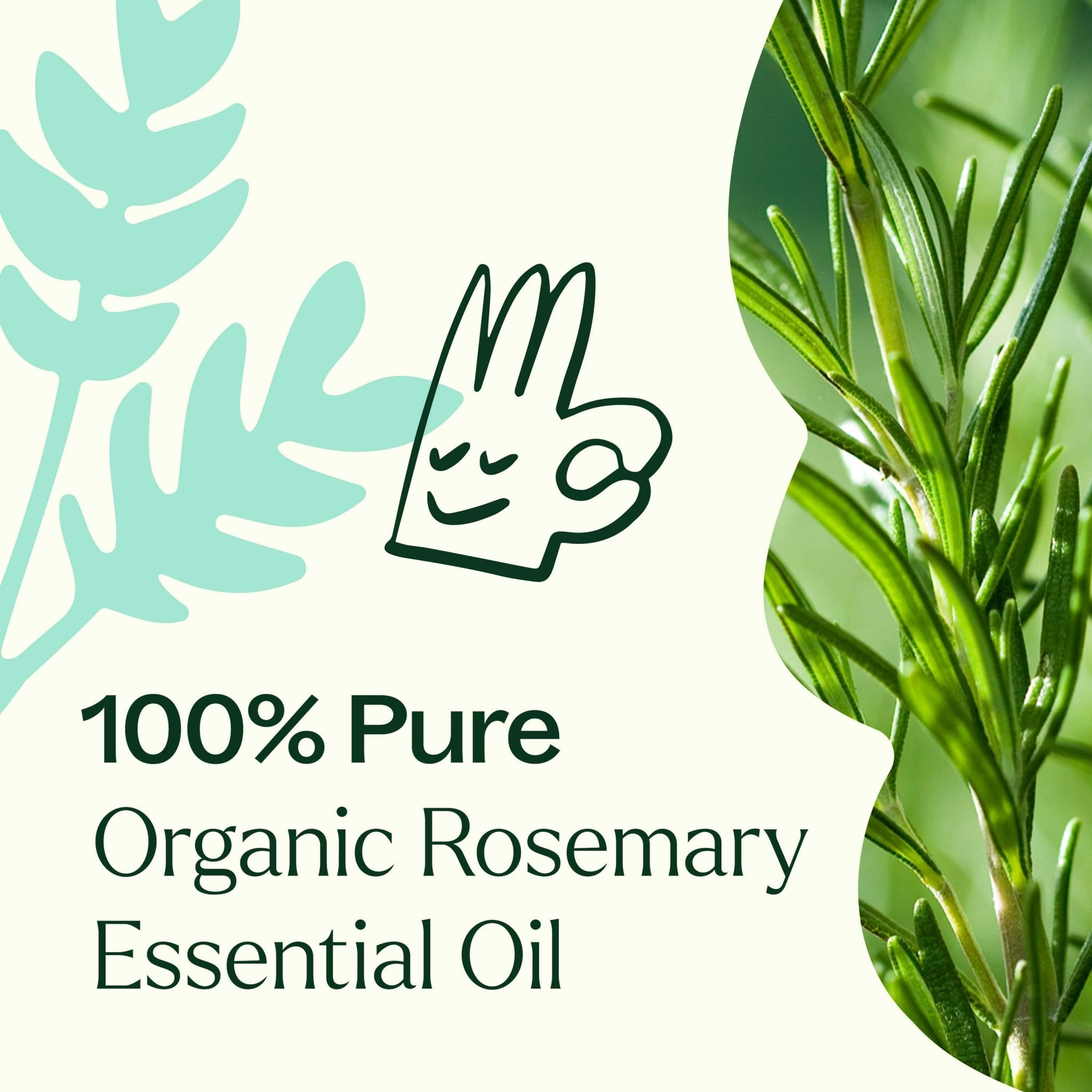 Organic Rosemary 1,8 - Cineole Essential Oil Plant Therapy