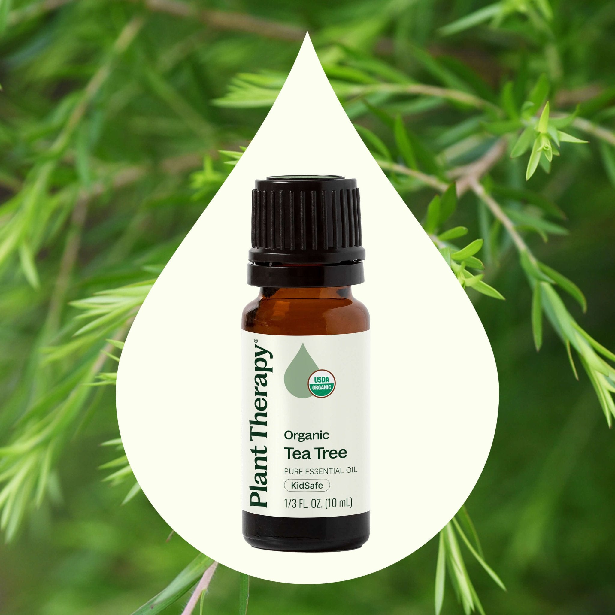 Organic Tea Tree Essential Oil Plant Therapy