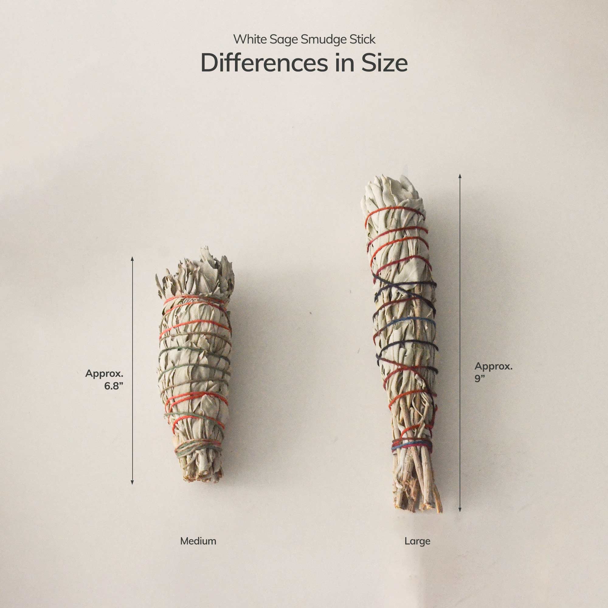 Organic White Sage Smudge Stick - Medium CEDAR AND MYRRH