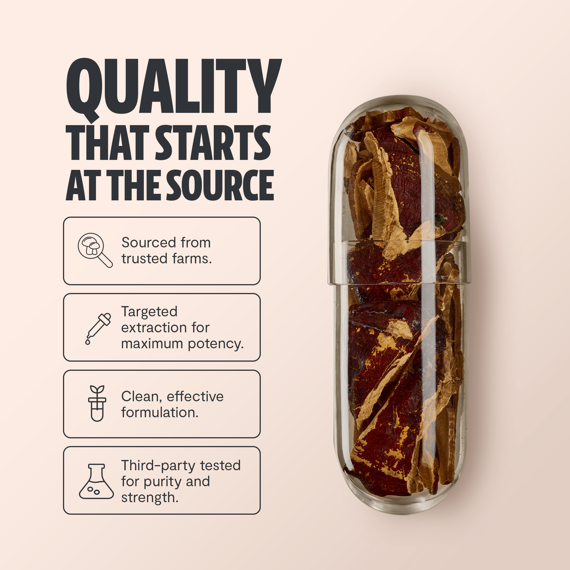 Reishi Mushroom Extract Capsules FreshCap Mushrooms