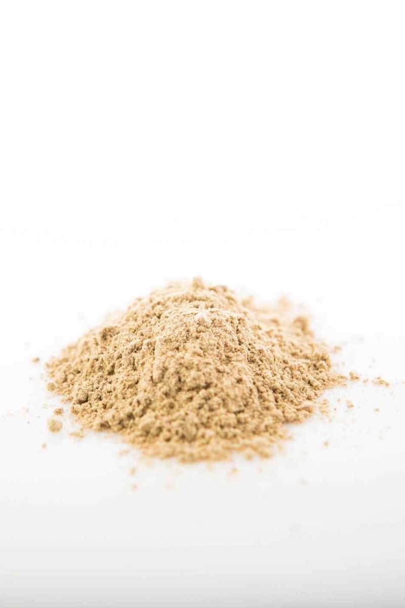 Reishi Mushroom Powder Sun Potion