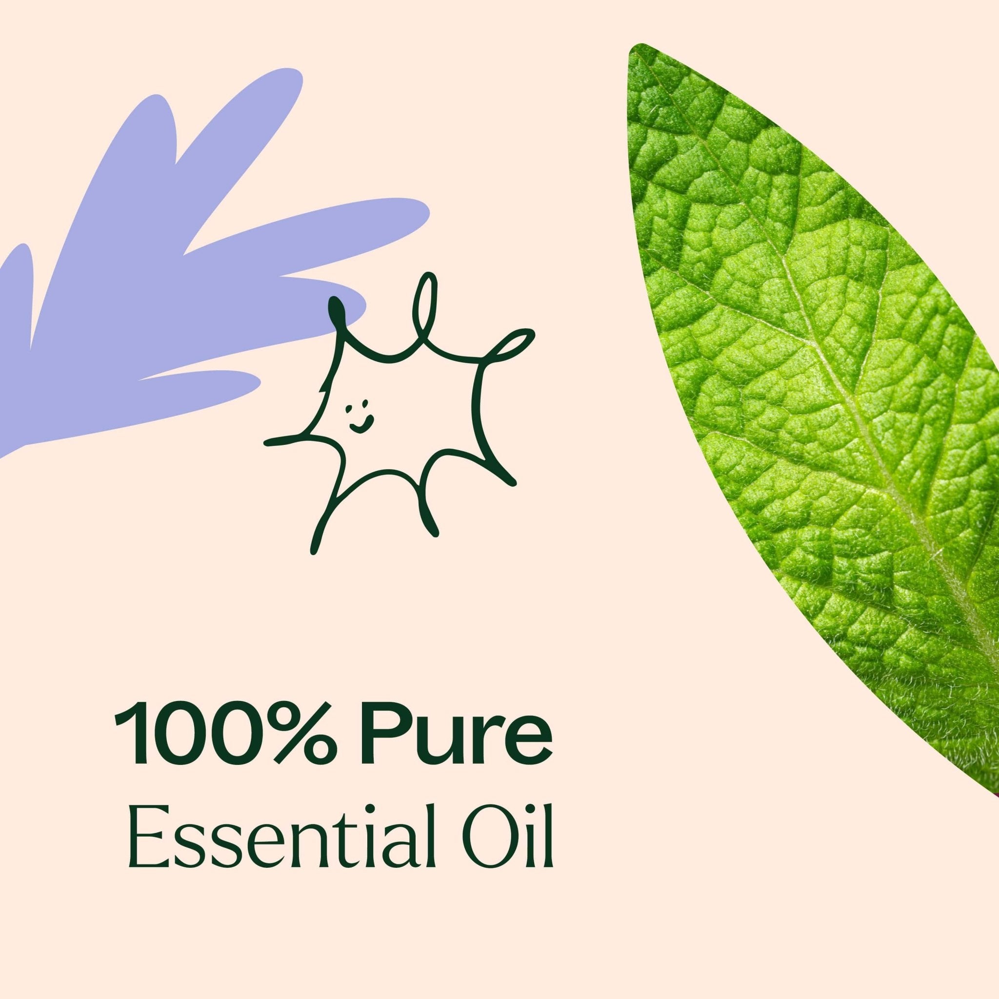 Respir Aid Essential Oil Blend Plant Therapy