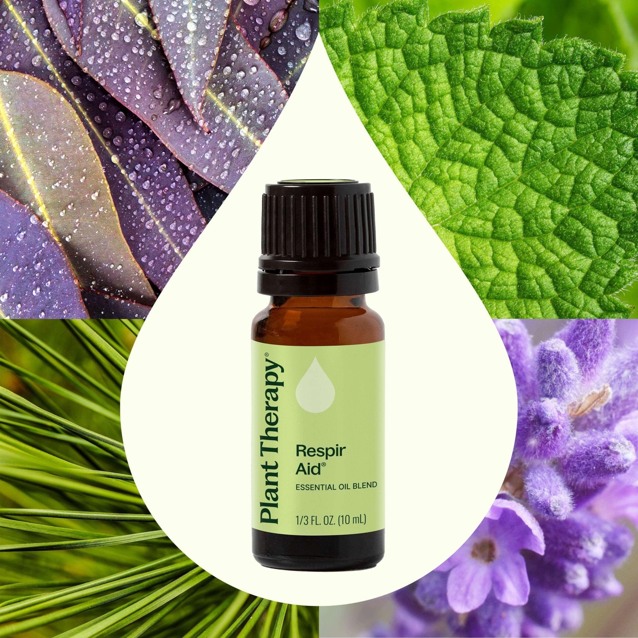 Respir Aid Essential Oil Blend Plant Therapy