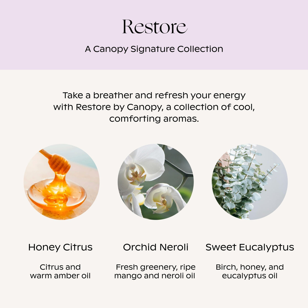 Canopy Restore signature collection: Honey Citrus, Orchid Neroli and Sweet Eucalyptus aromas