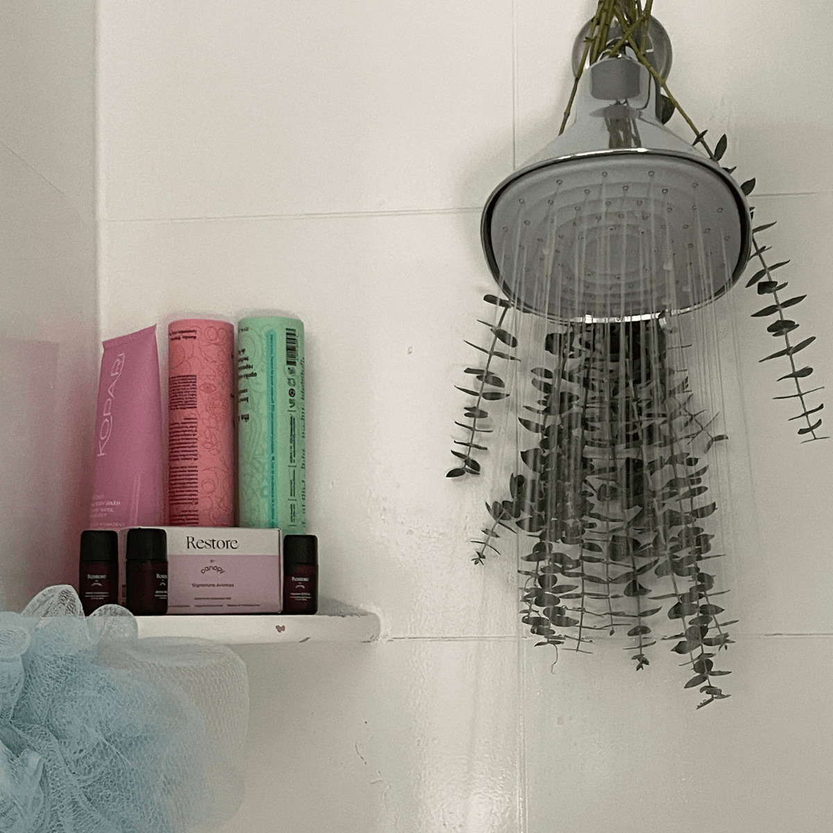 Canopy Restore Aroma Kit on a shower shelf beside a Canopy showerhead with hanging eucalyptus
