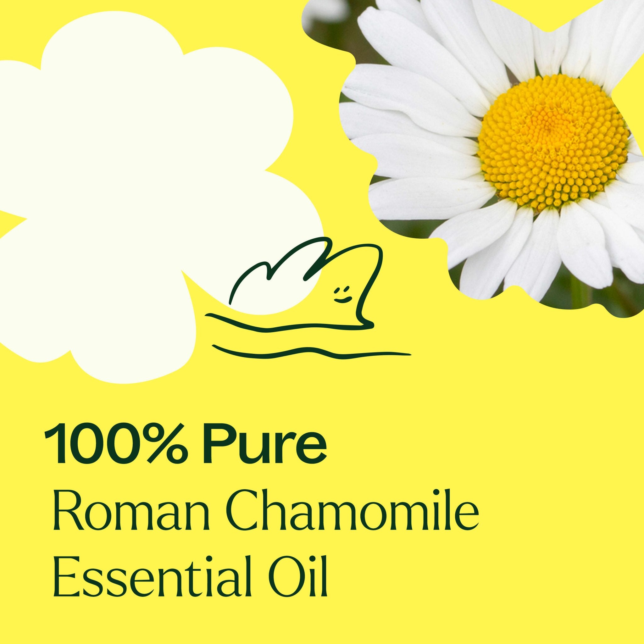 Roman Chamomile Essential Oil Plant Therapy