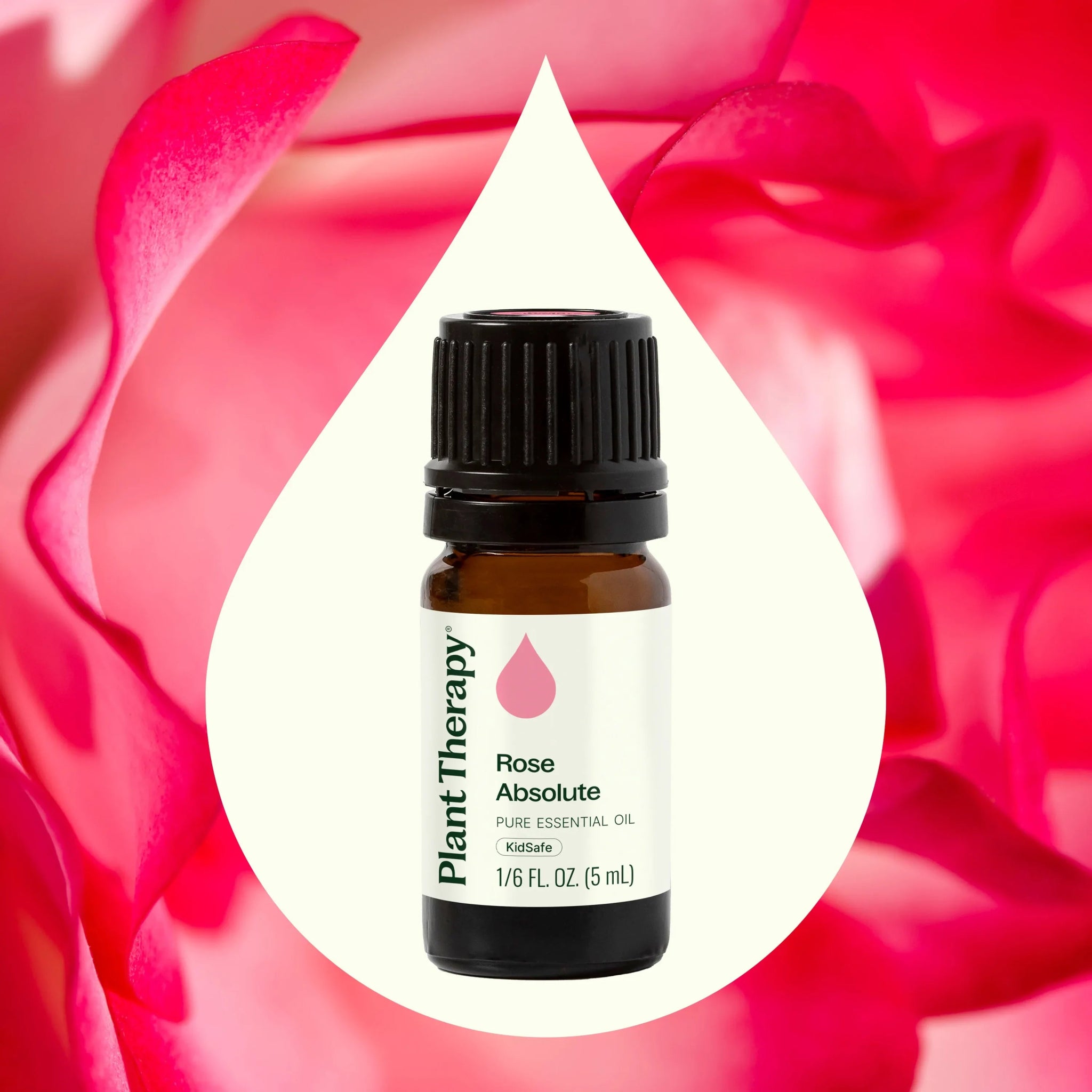 Rose Absolute Essential Oil Plant Therapy