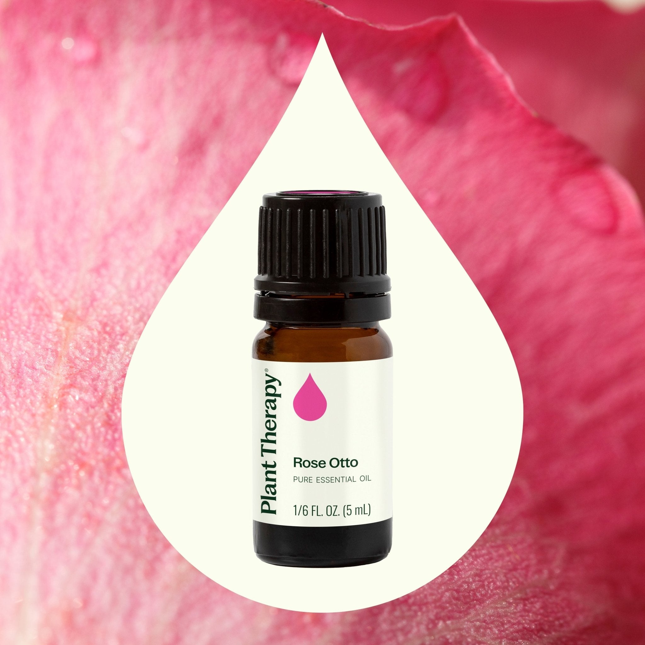 Rose Otto Essential Oil Plant Therapy