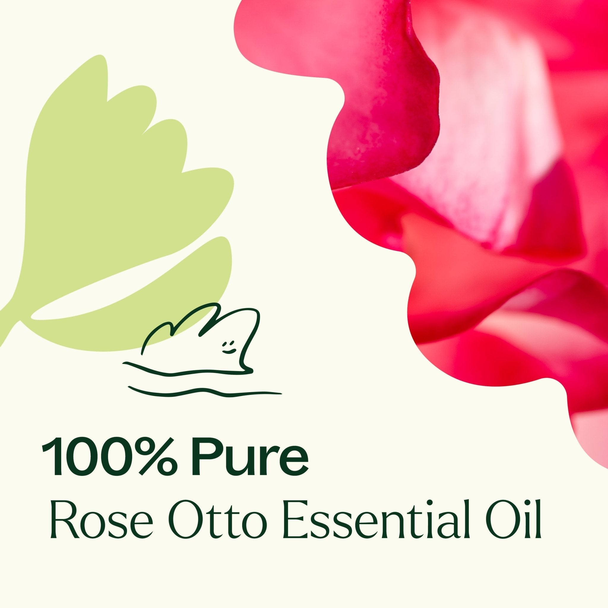 Rose Otto Essential Oil Plant Therapy