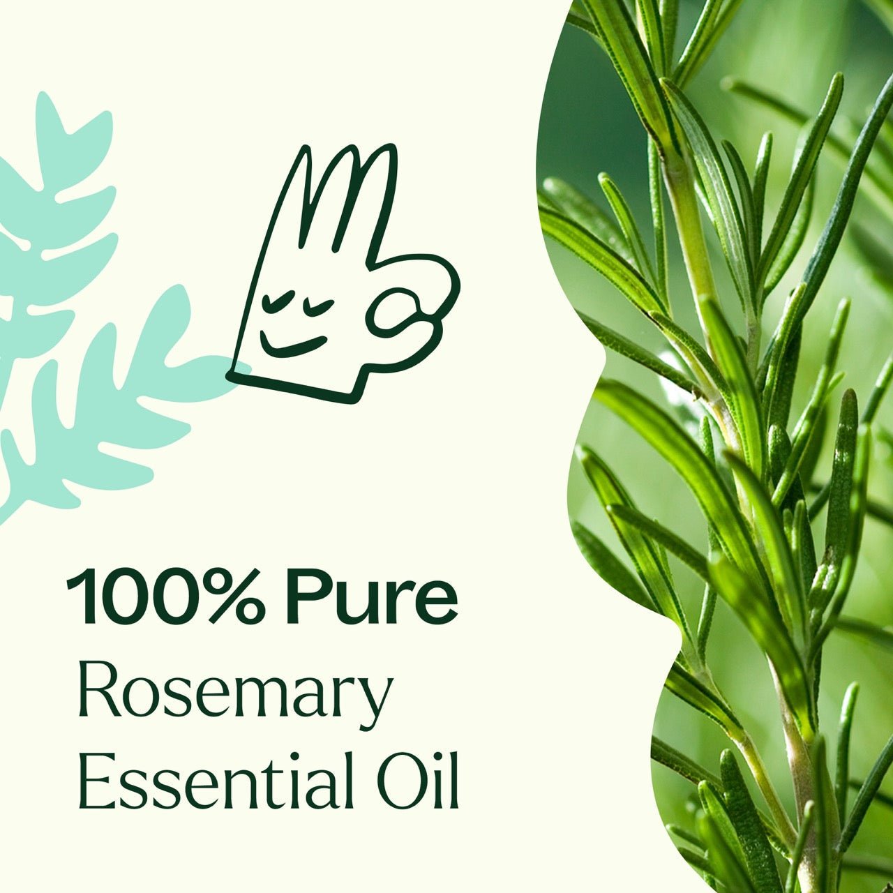Rosemary 1,8 - Cineole Essential Oil Plant Therapy
