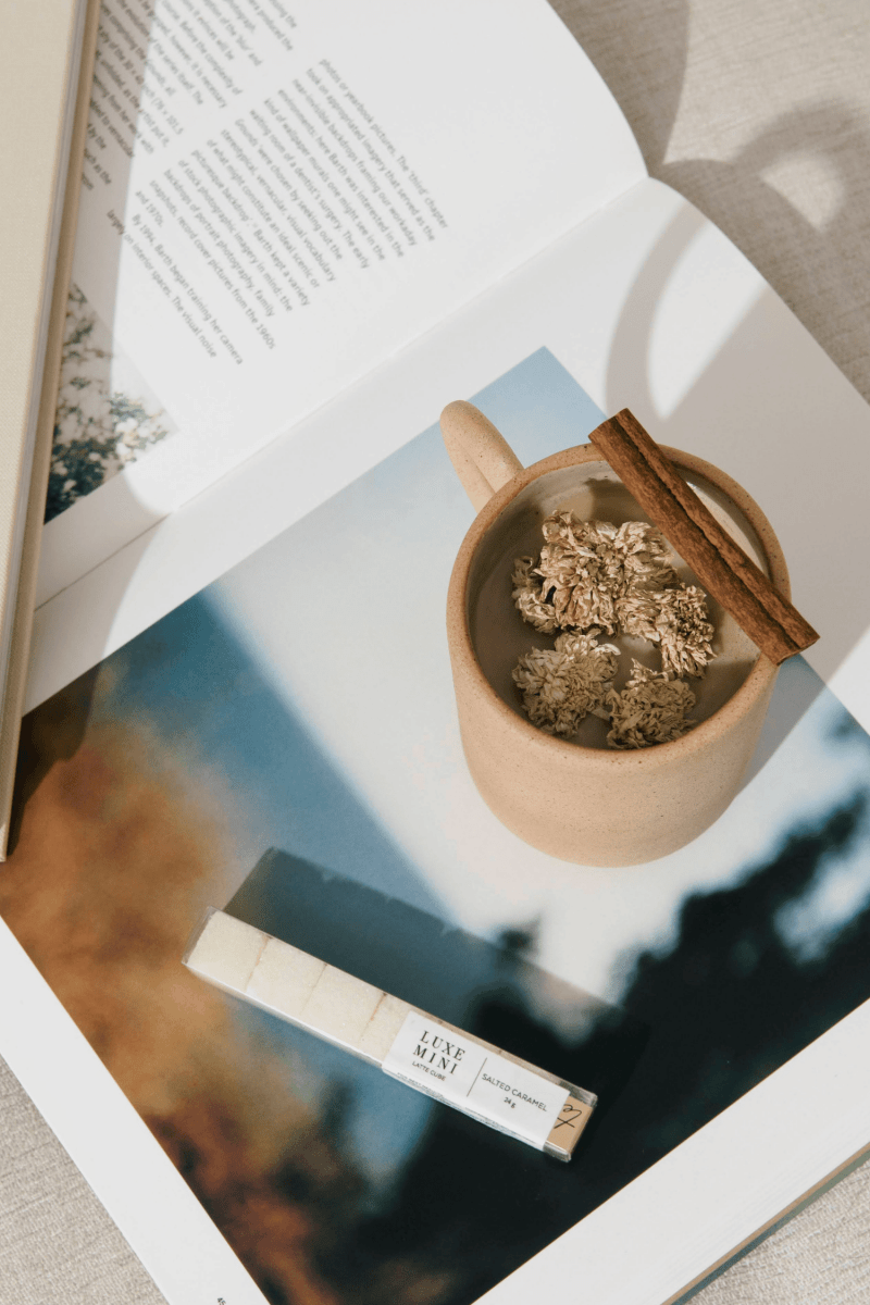 SALTED CARAMEL | BARISTA CUBE Teaspressa