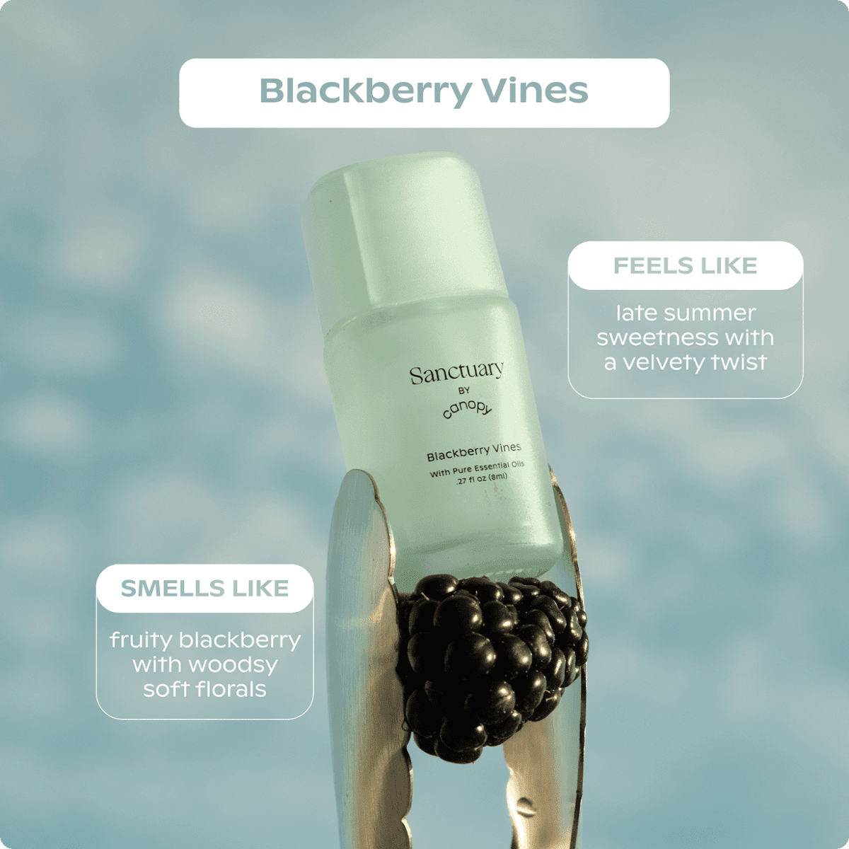 Sanctuary Aroma Kit Canopy