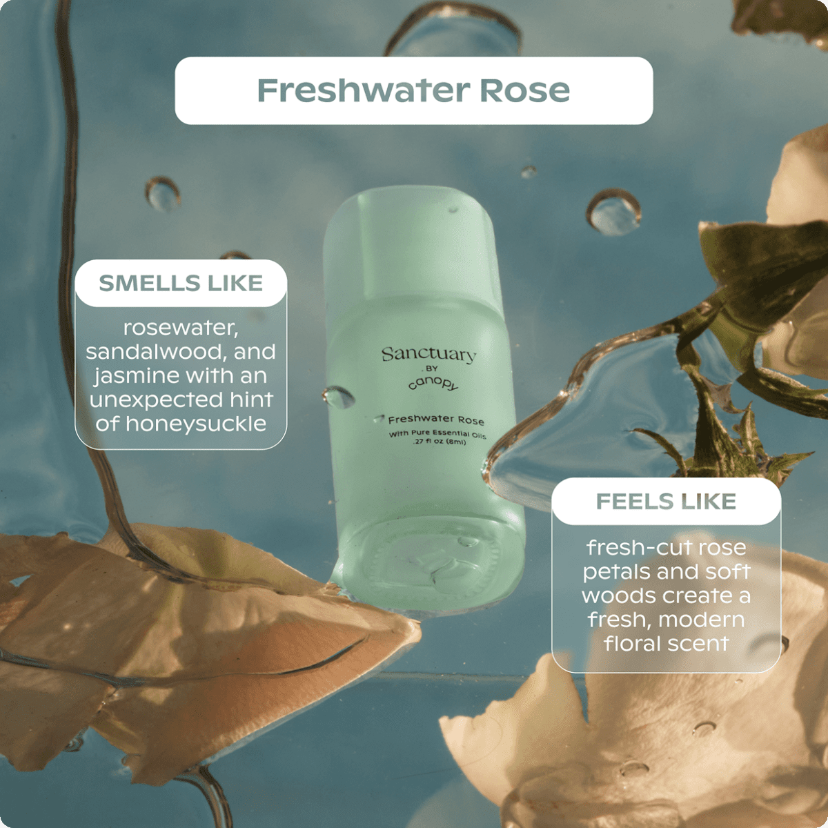 Sanctuary Aroma Kit Canopy