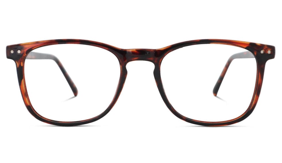 ScreenTime Taylor Computer Glasses - Tortoise BlockBlueLight