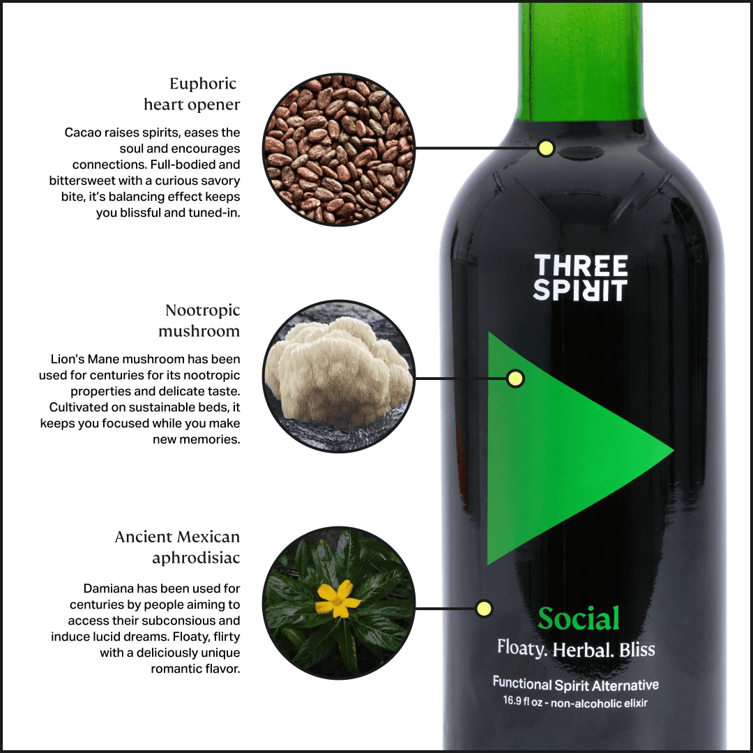 Social • Non - Alcoholic Botanical Elixir • The Mood Maker Three Spirit US