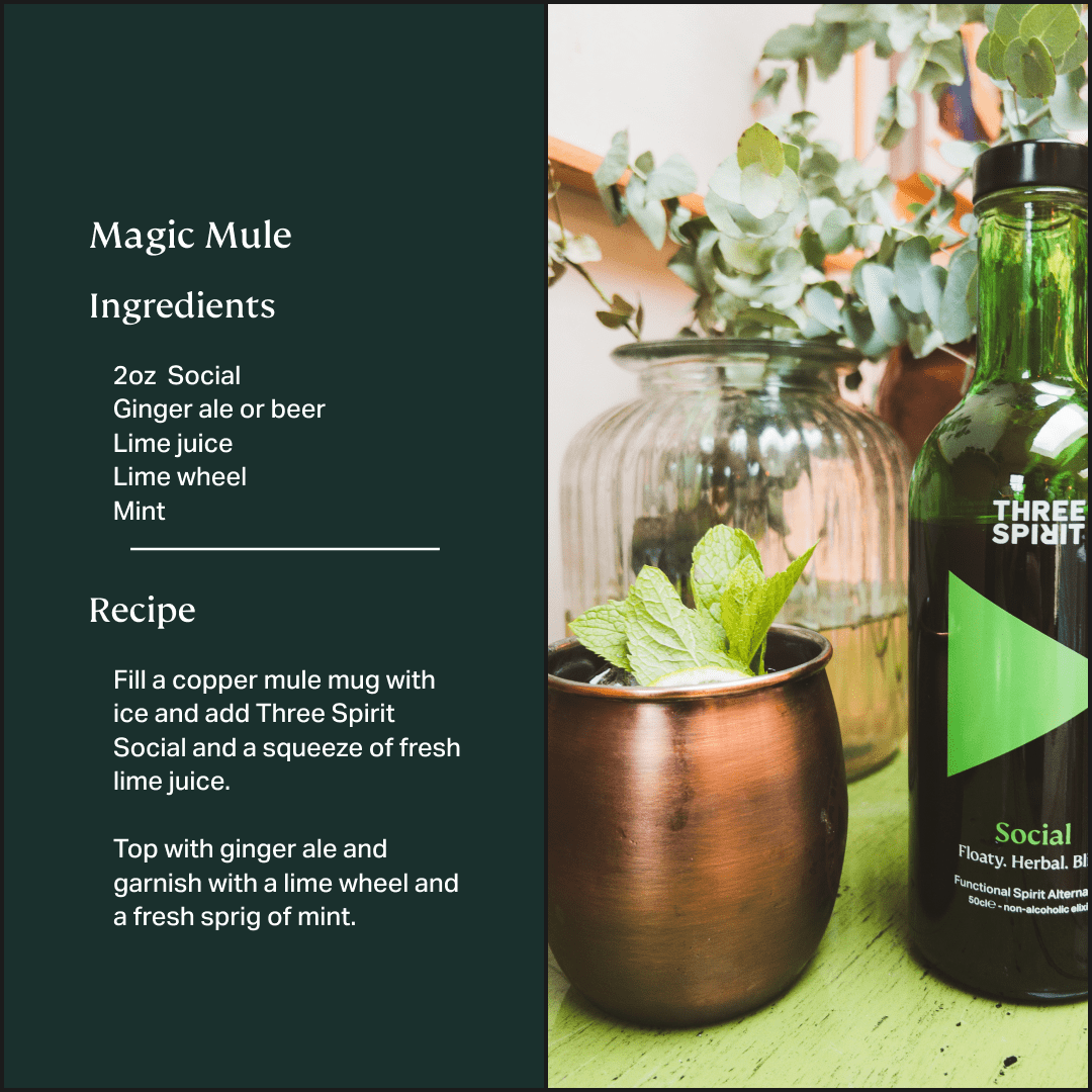 Social • Non - Alcoholic Botanical Elixir • The Mood Maker Three Spirit US