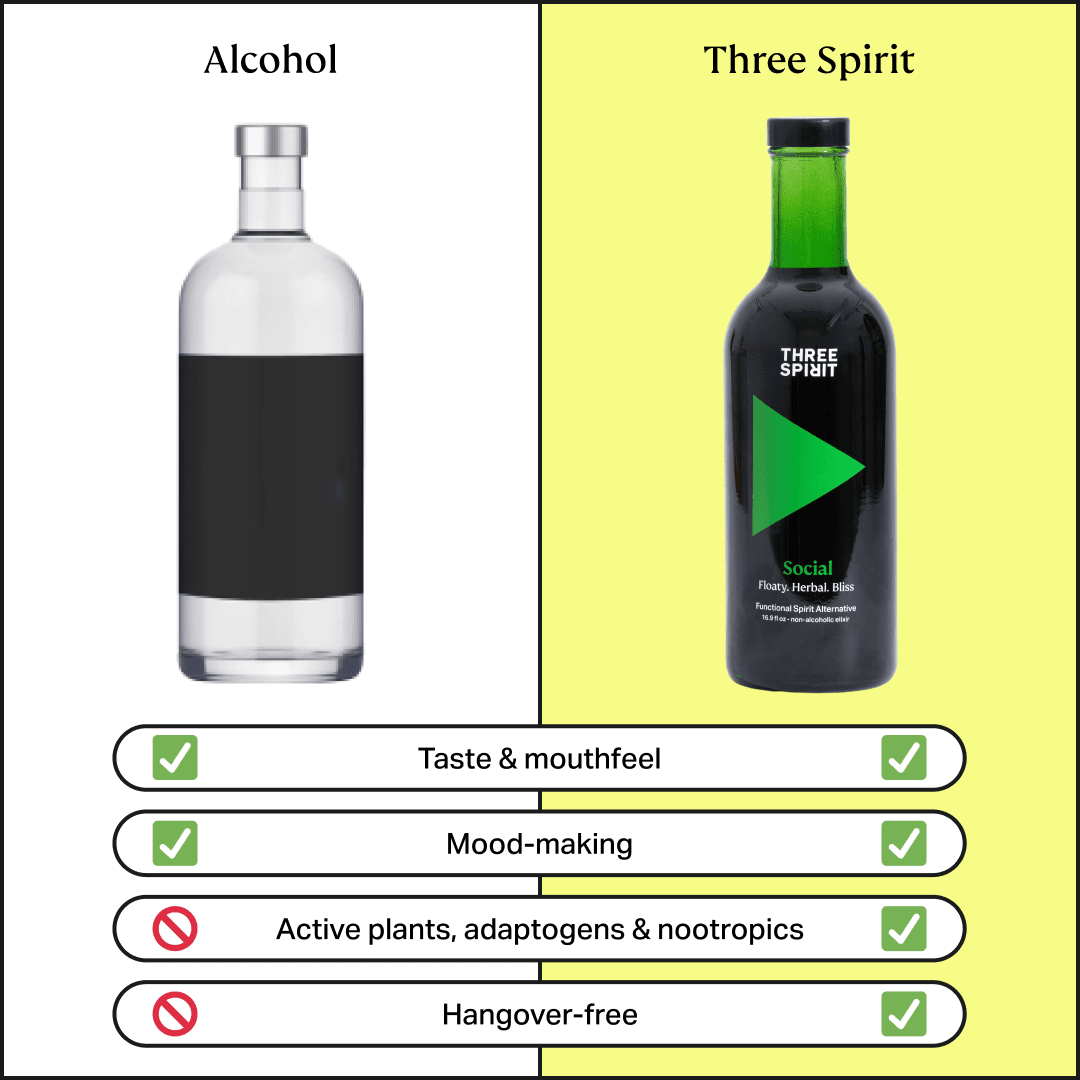 Social • Non - Alcoholic Botanical Elixir • The Mood Maker Three Spirit US