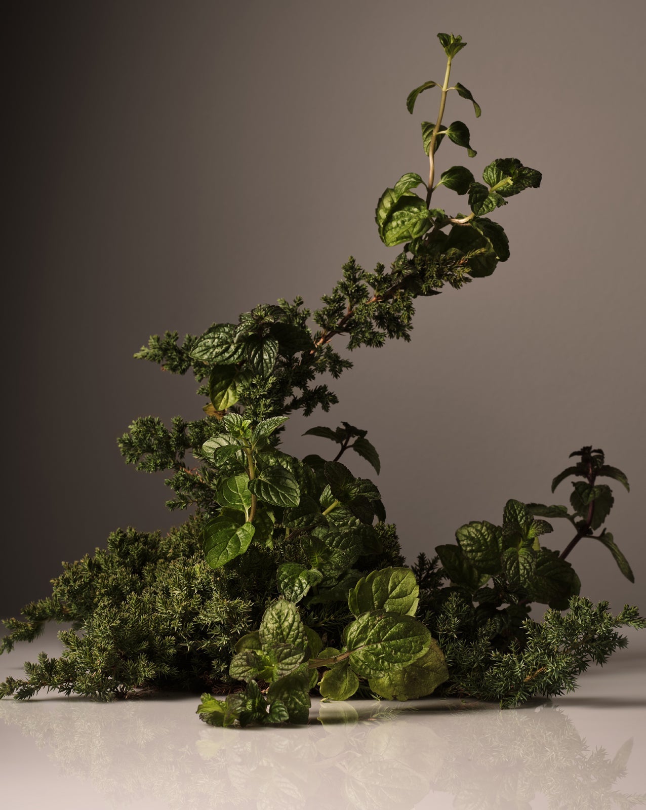 Surface Cleaner Homecourt