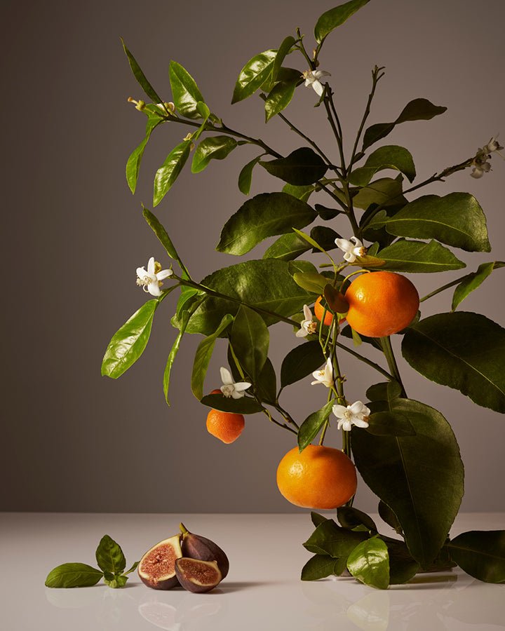 Surface Cleaner Homecourt