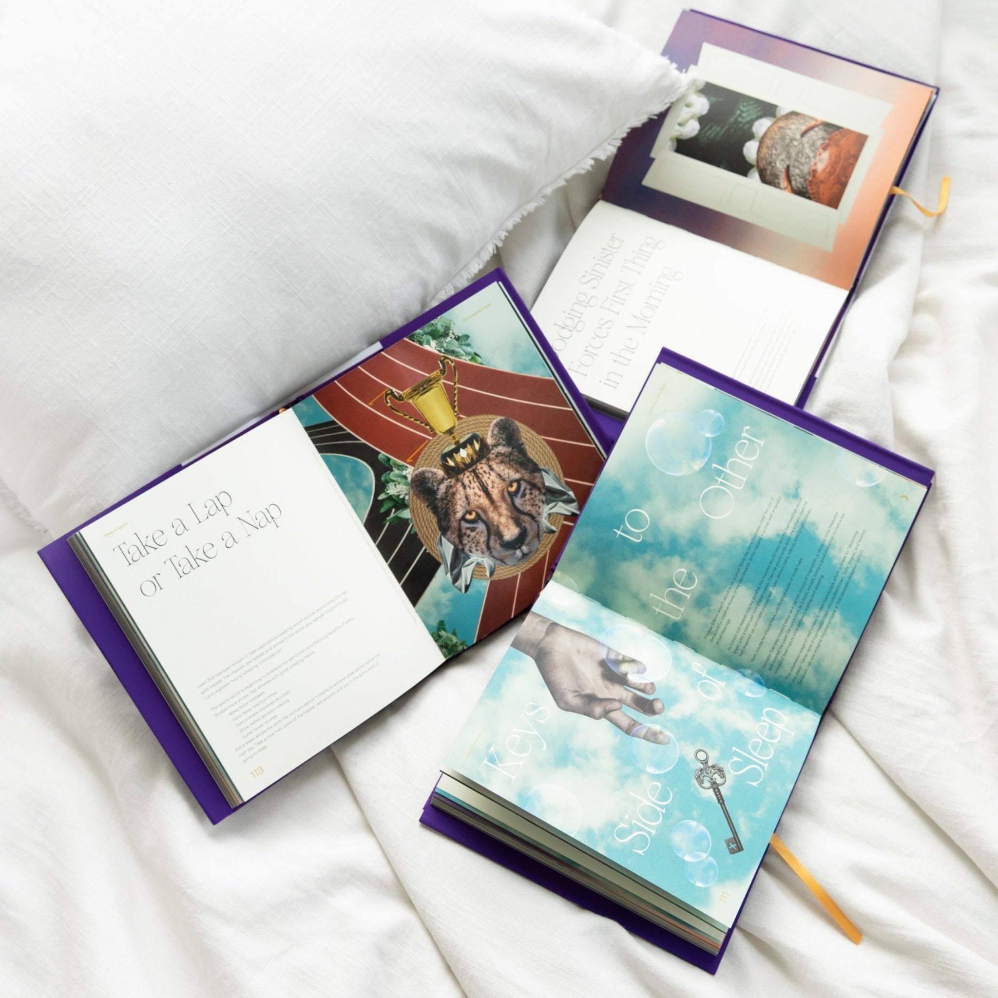 The Mysteries of Sleep Book Loftie