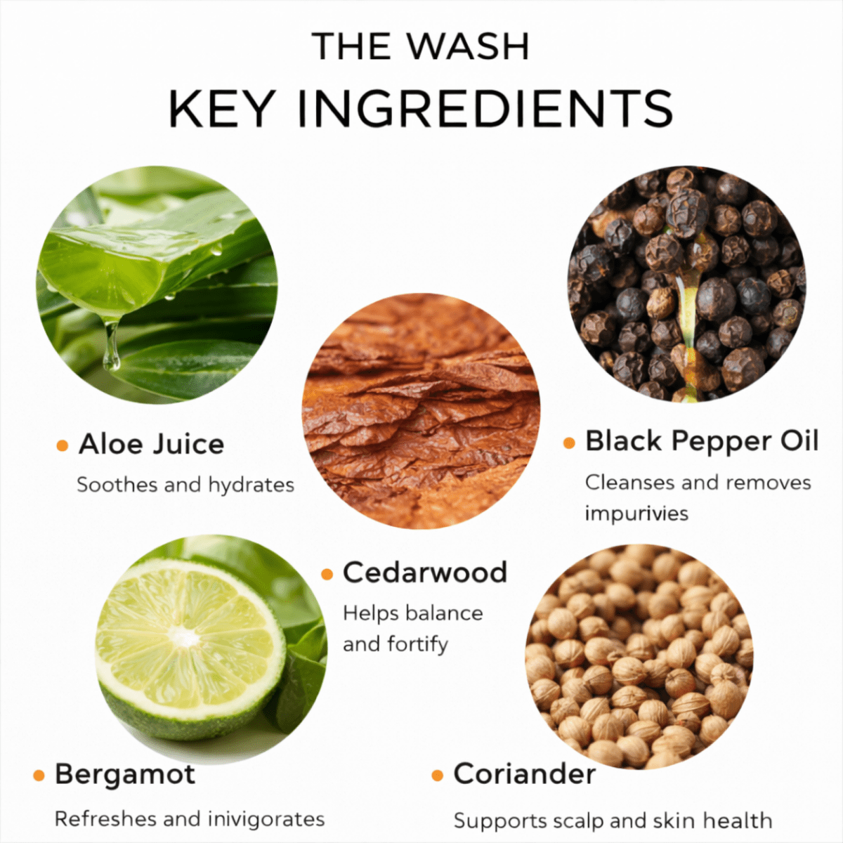 THE WASH // FACE + HANDS + BODY + HAIR NOTO Botanics